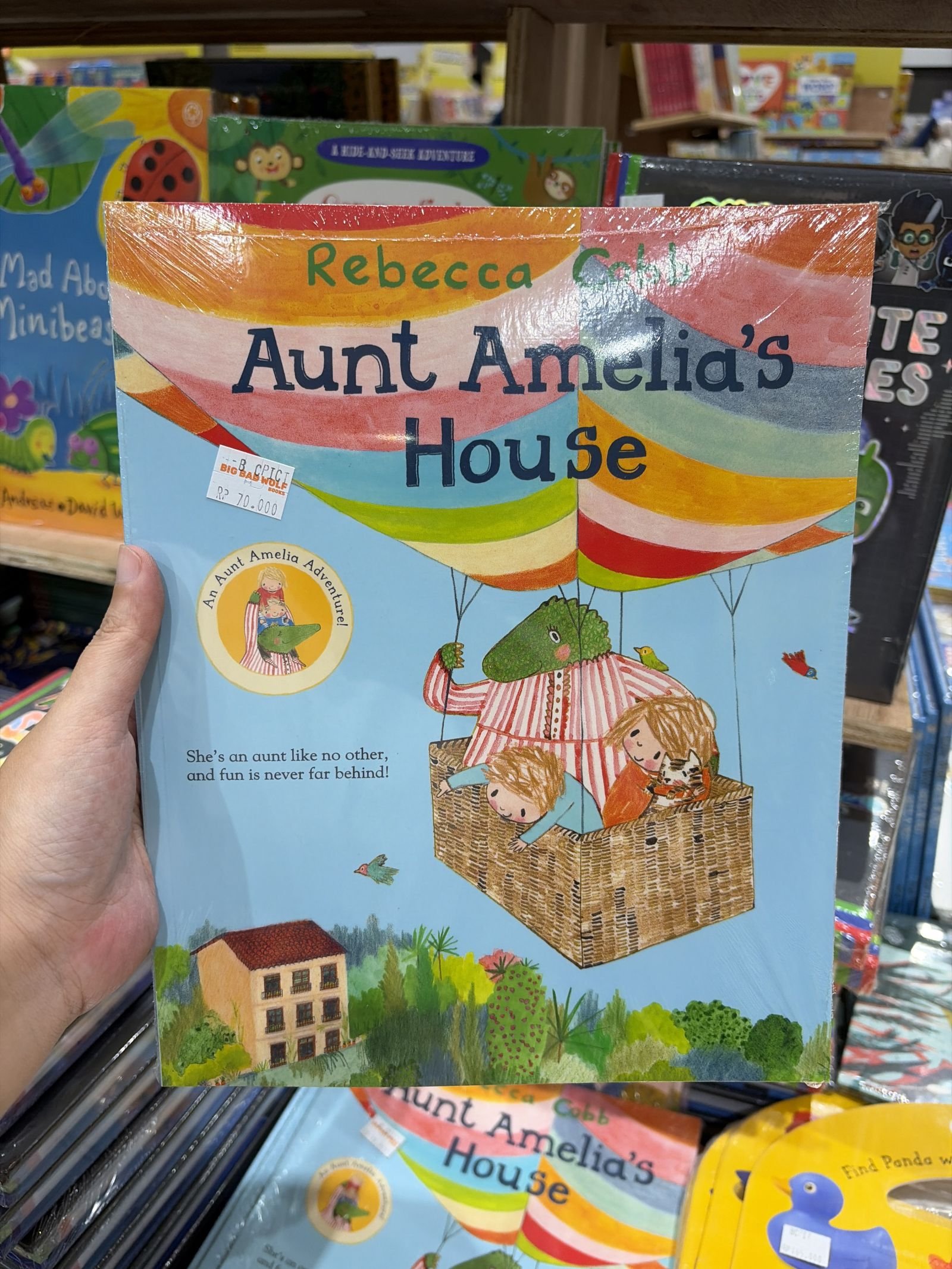 Aunt Amelia's House