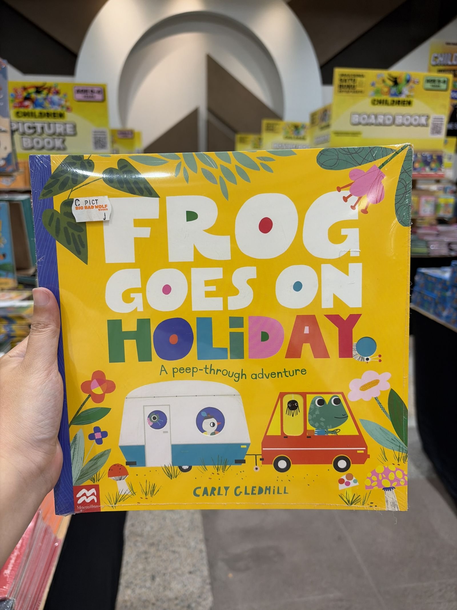 Frog Goes on Holiday