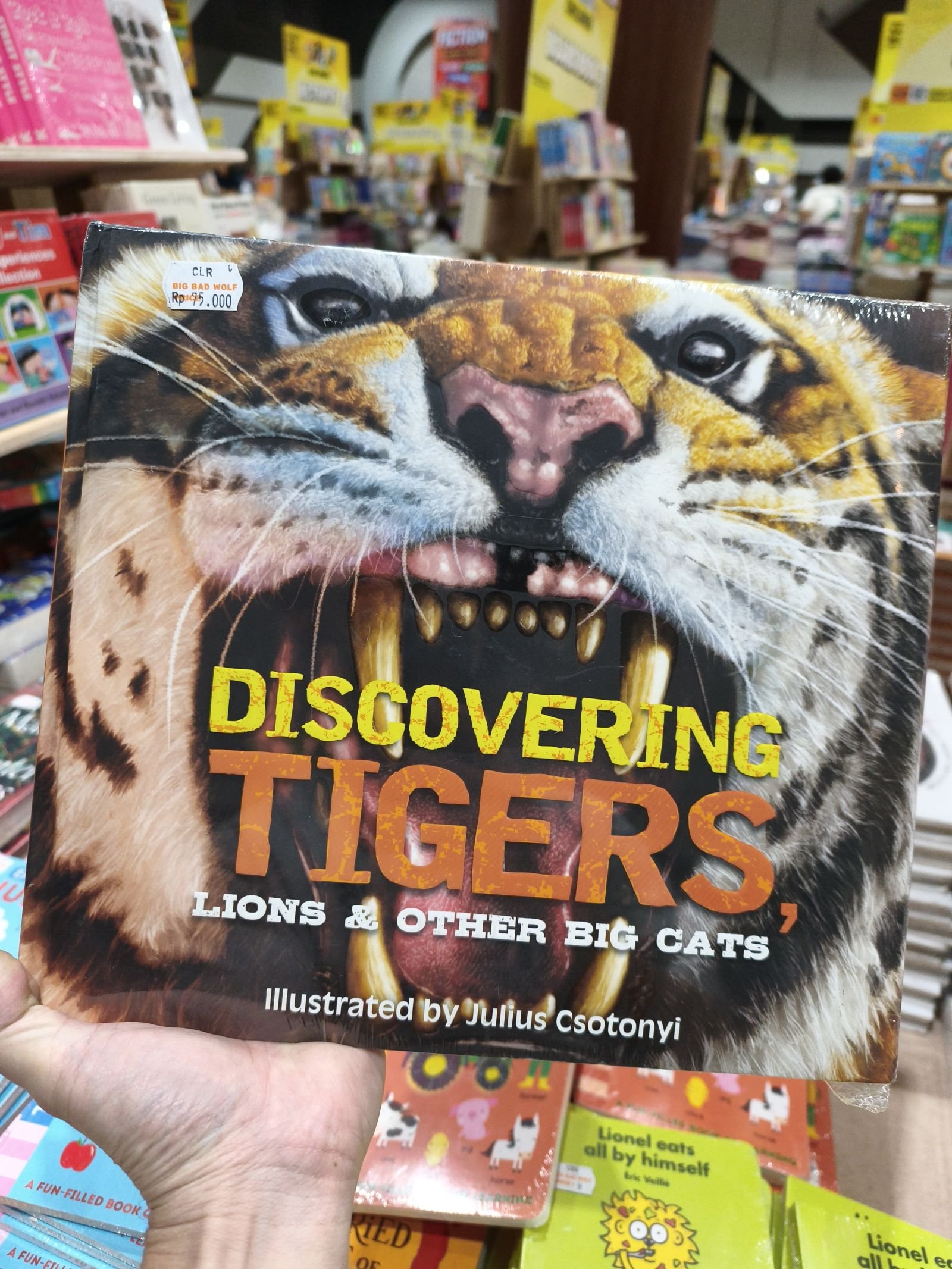 Discovering Tigers, Lions and Other Cats