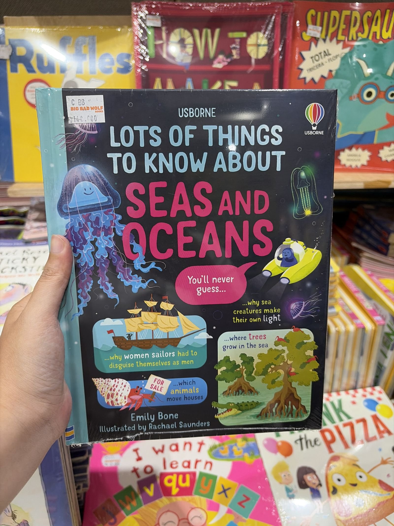 Lots of Things to Know about Seas and Oceans