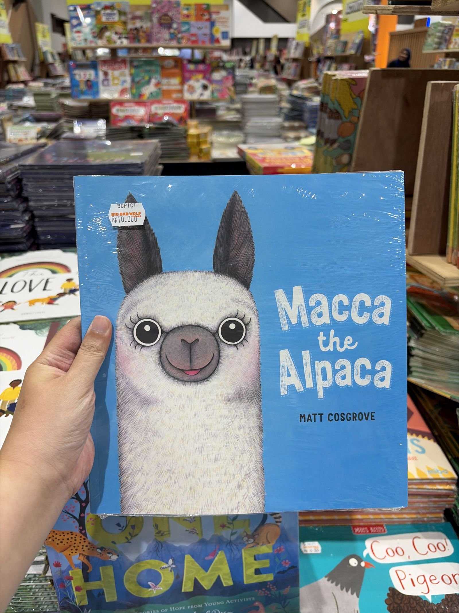 Macca the Alpaca