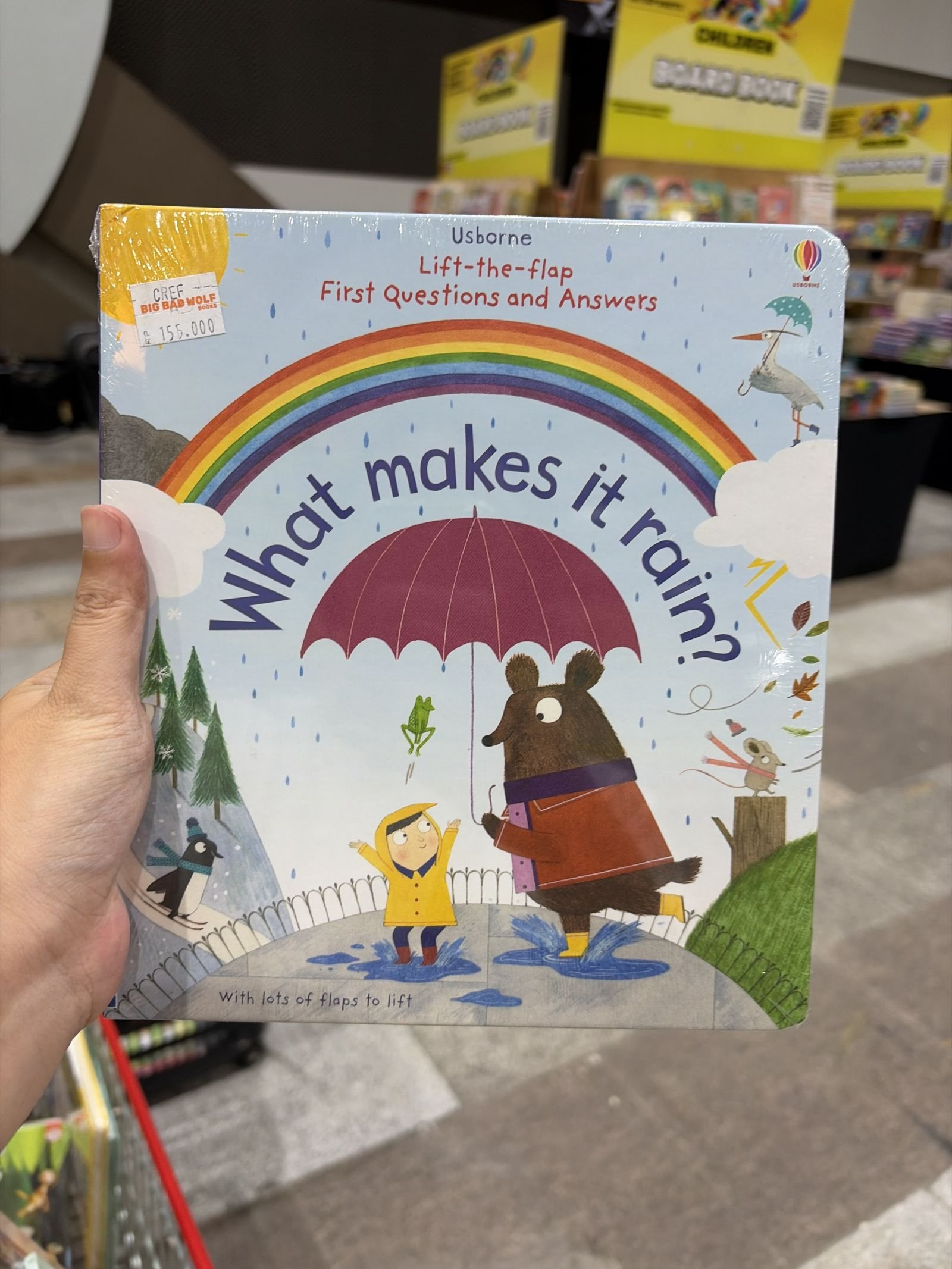 Lift-The-flap First Questions and Answers What Makes It Rain?