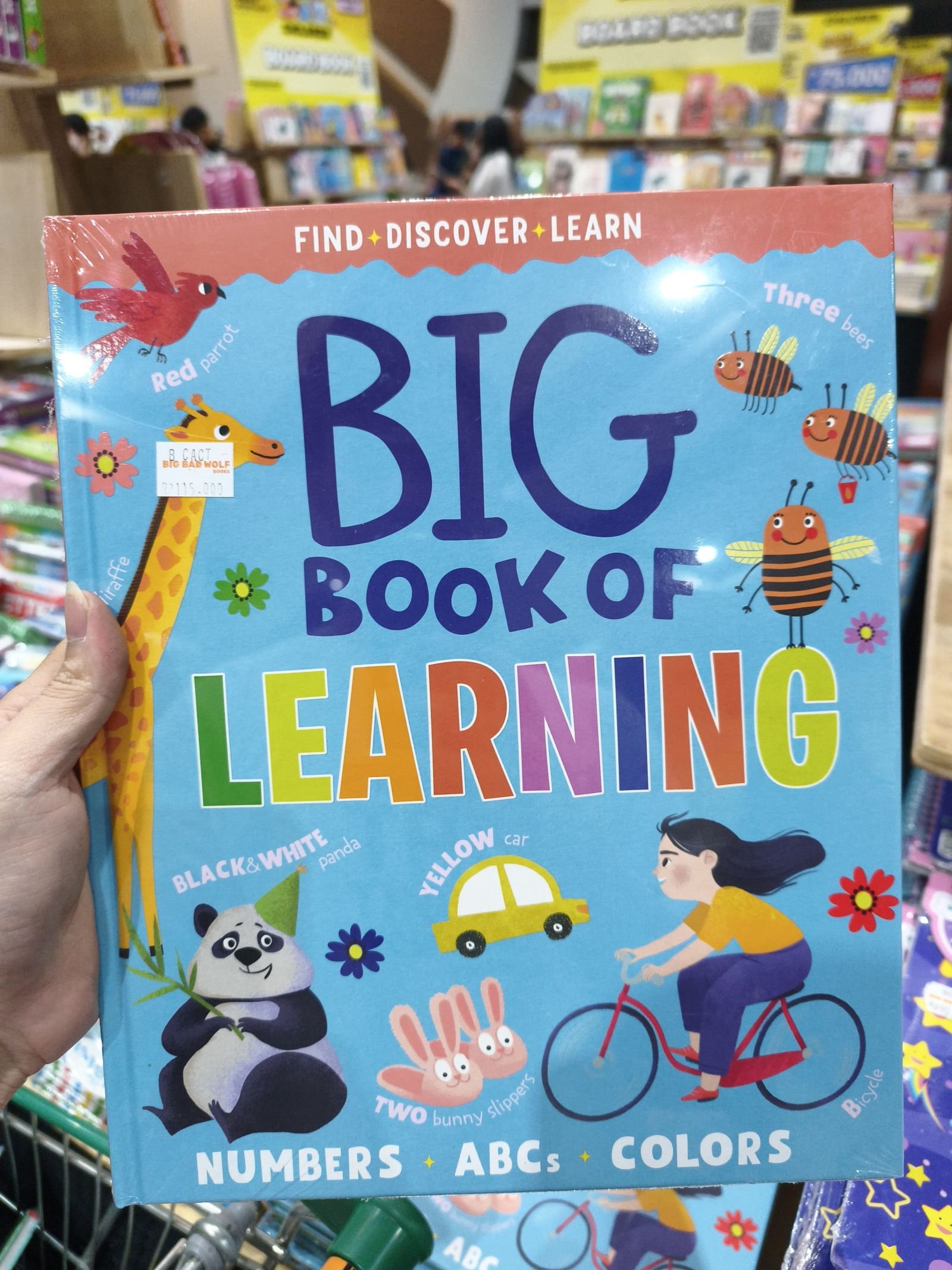 Big Book of Learning
