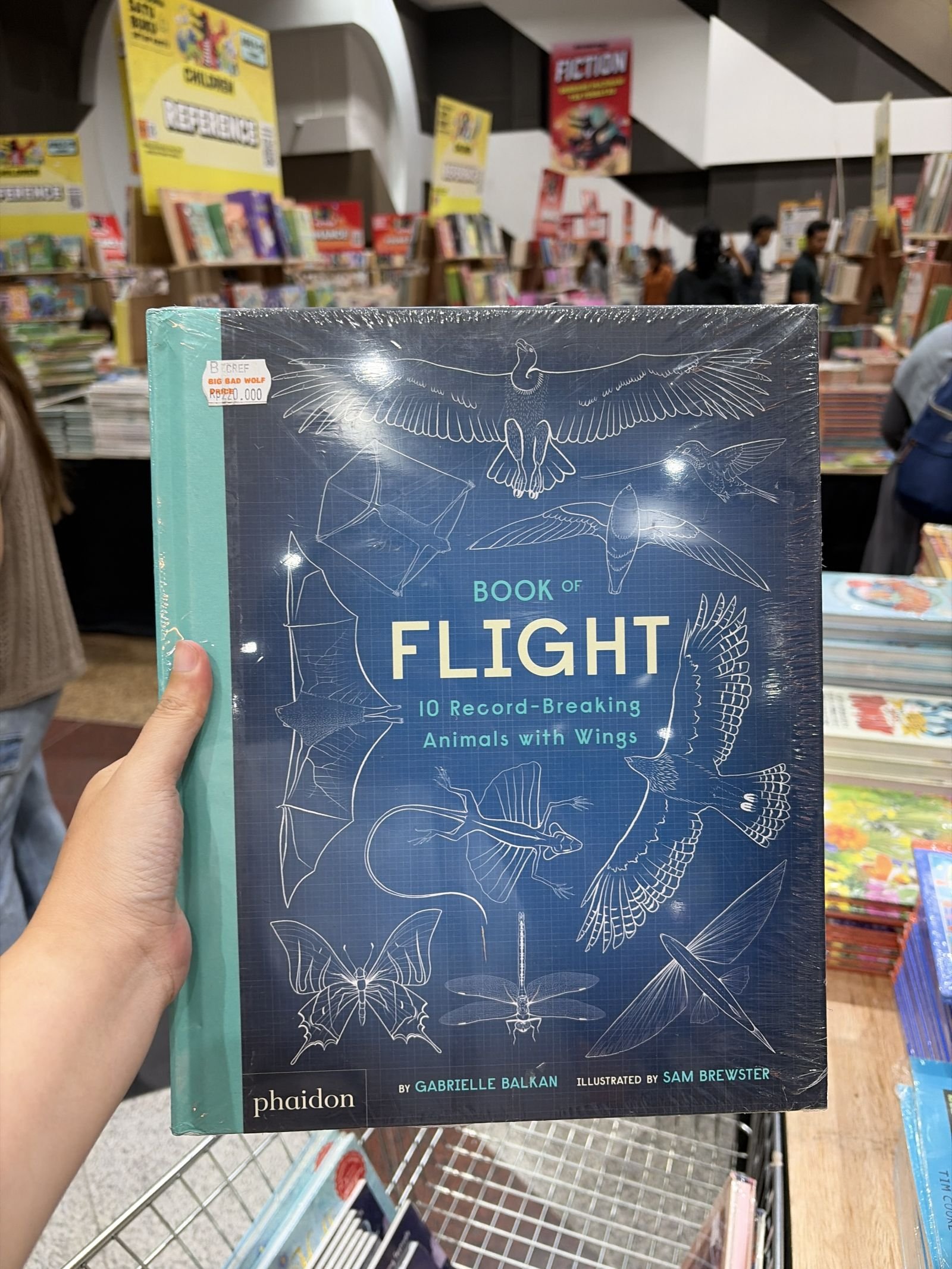 Book of Flight