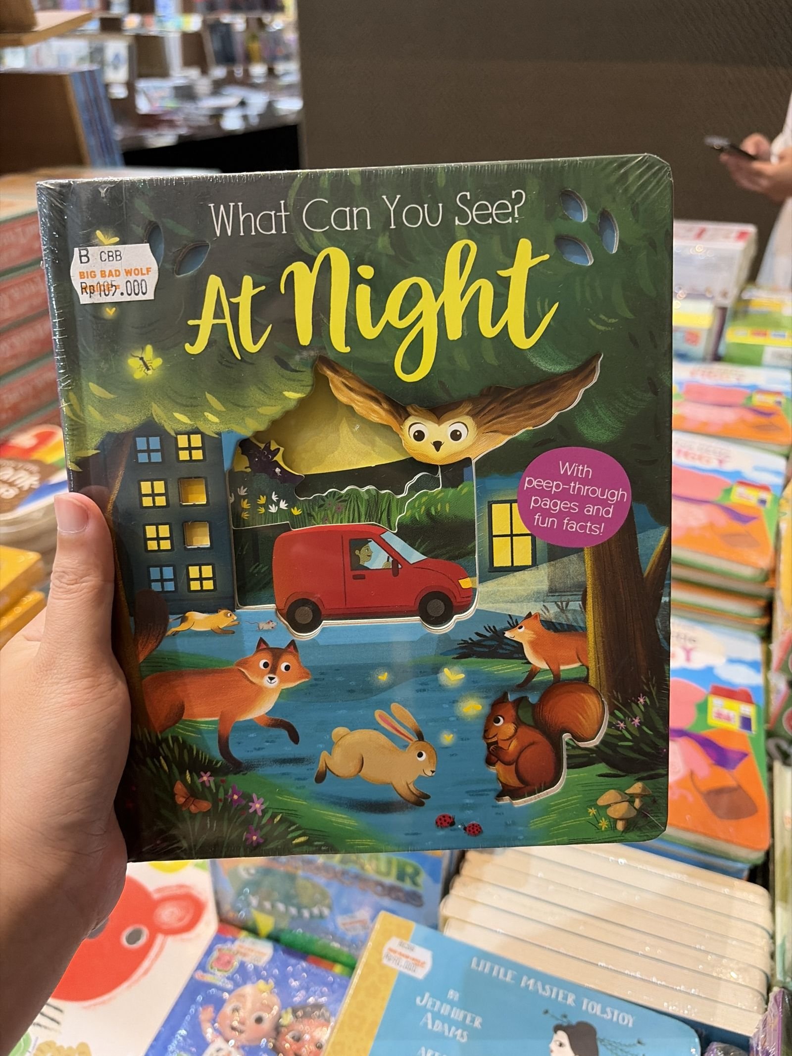 What Can You See At Night?