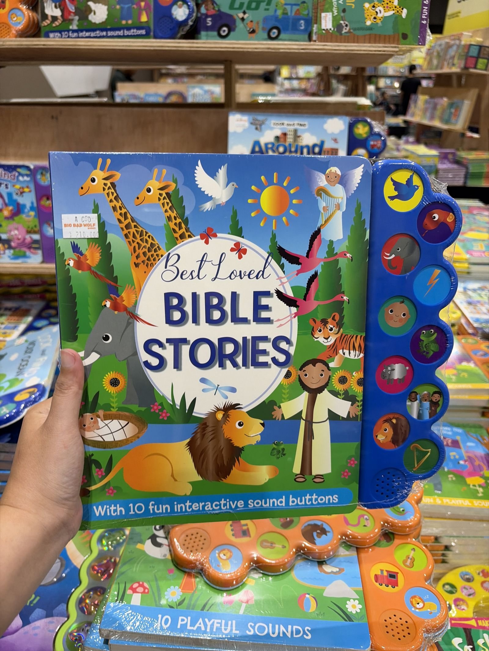Bible Stories SB