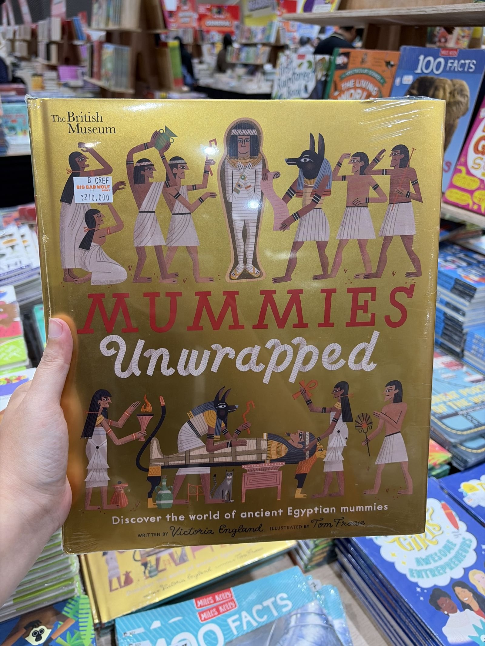 Mummies Unwrapped