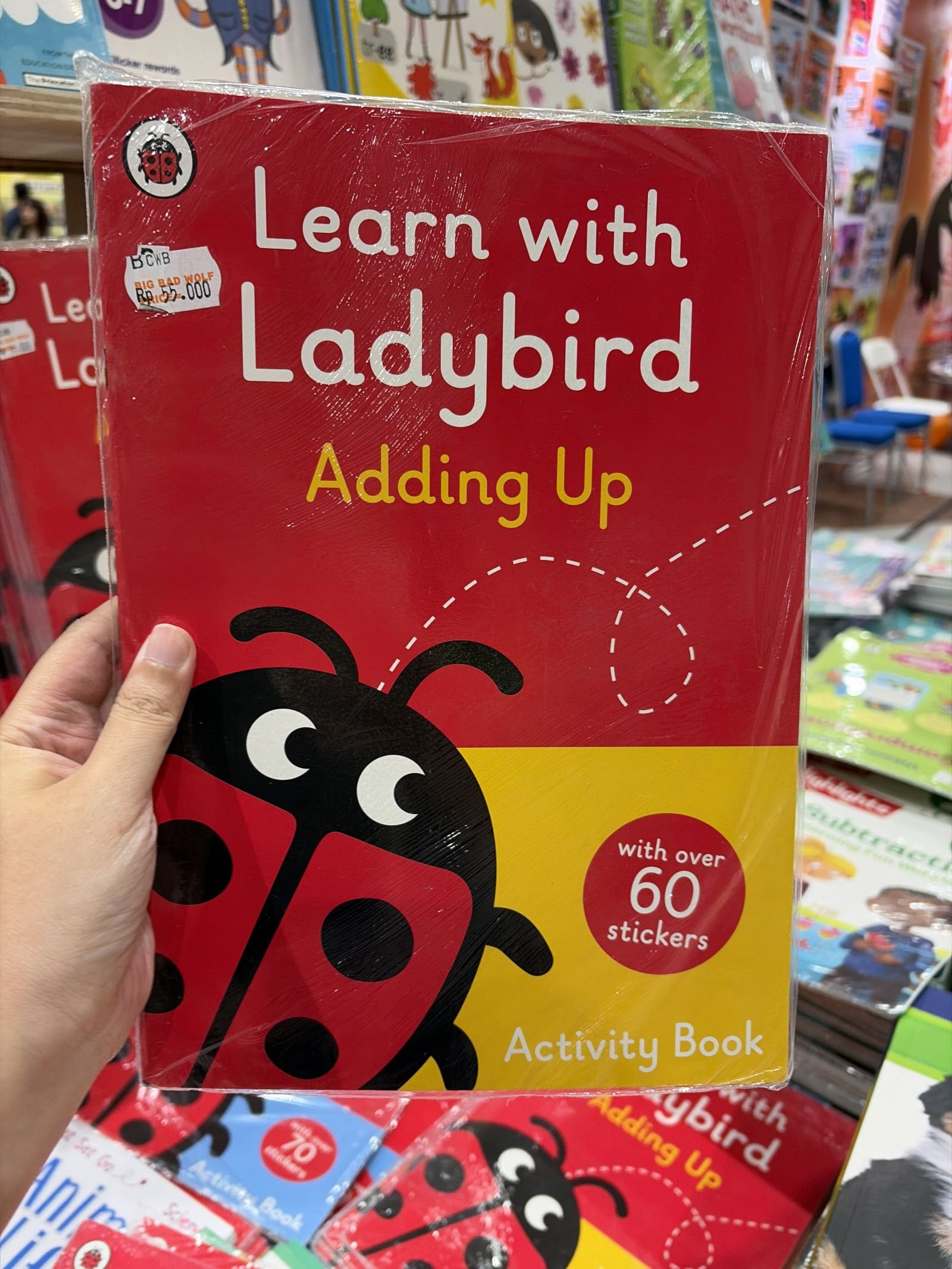 Learn with ladybird adding up