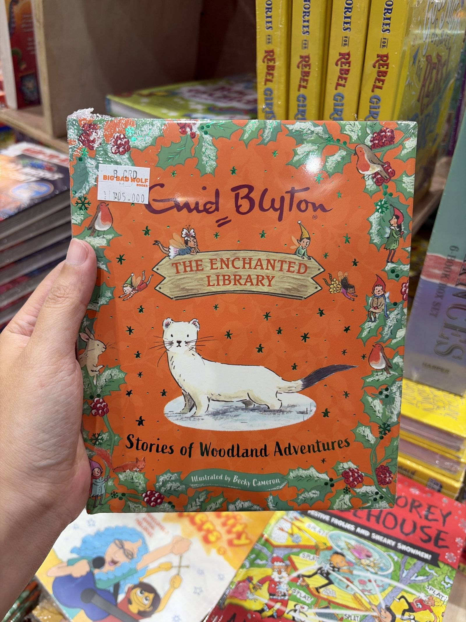 Stories of Woodland Adventures