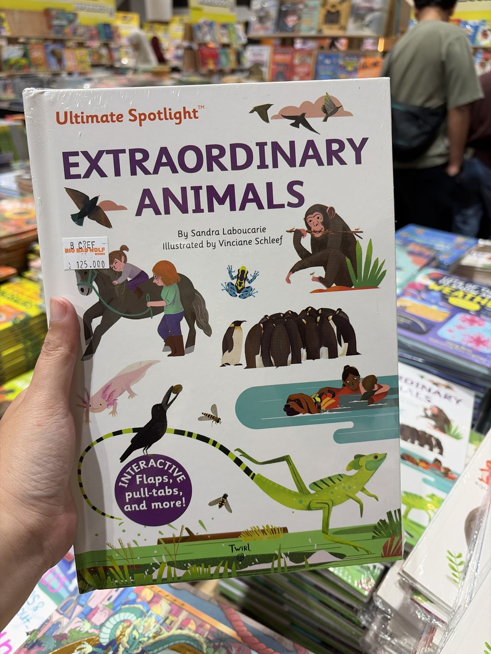 Ultimate Spotlight: Extraordinary Animals