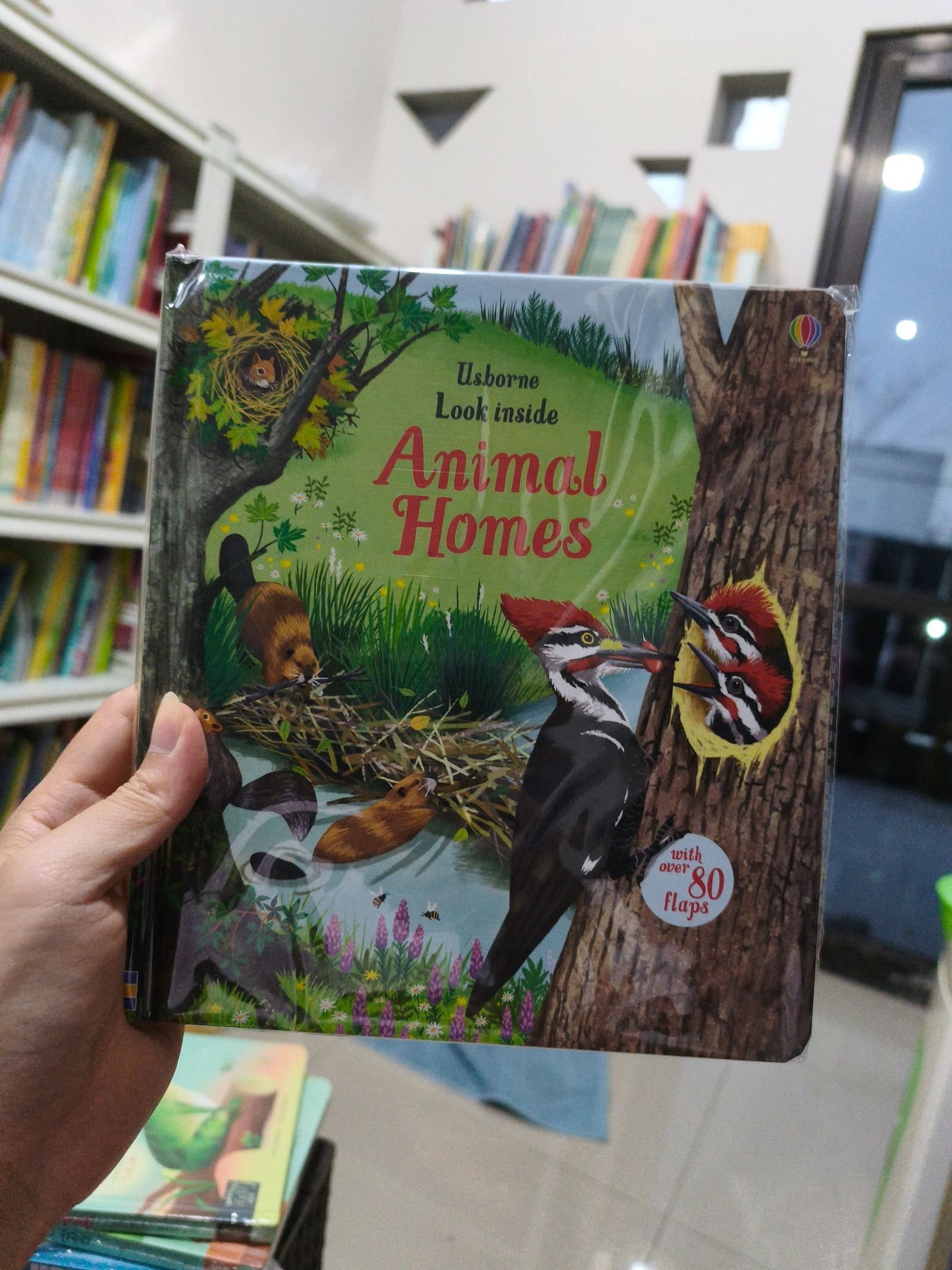 Look Inside Animal Homes