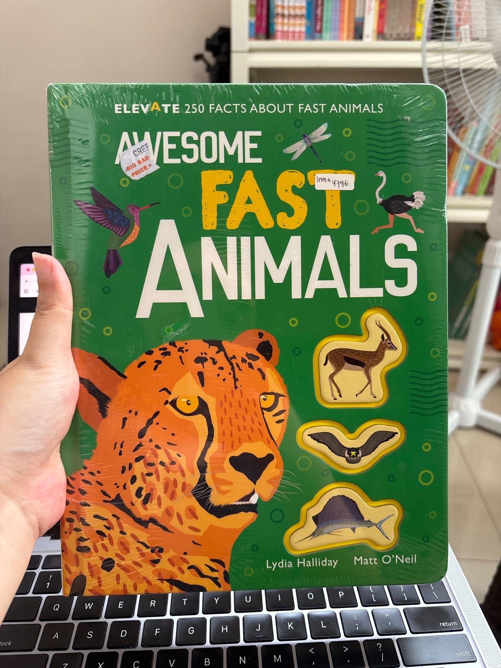 Awesome Fast Animals
