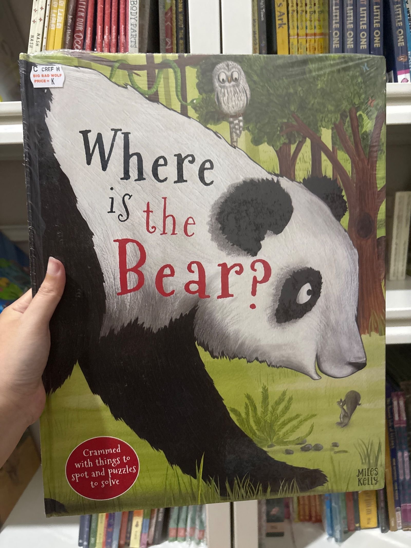 Where is the Bear? (BBW JKT)