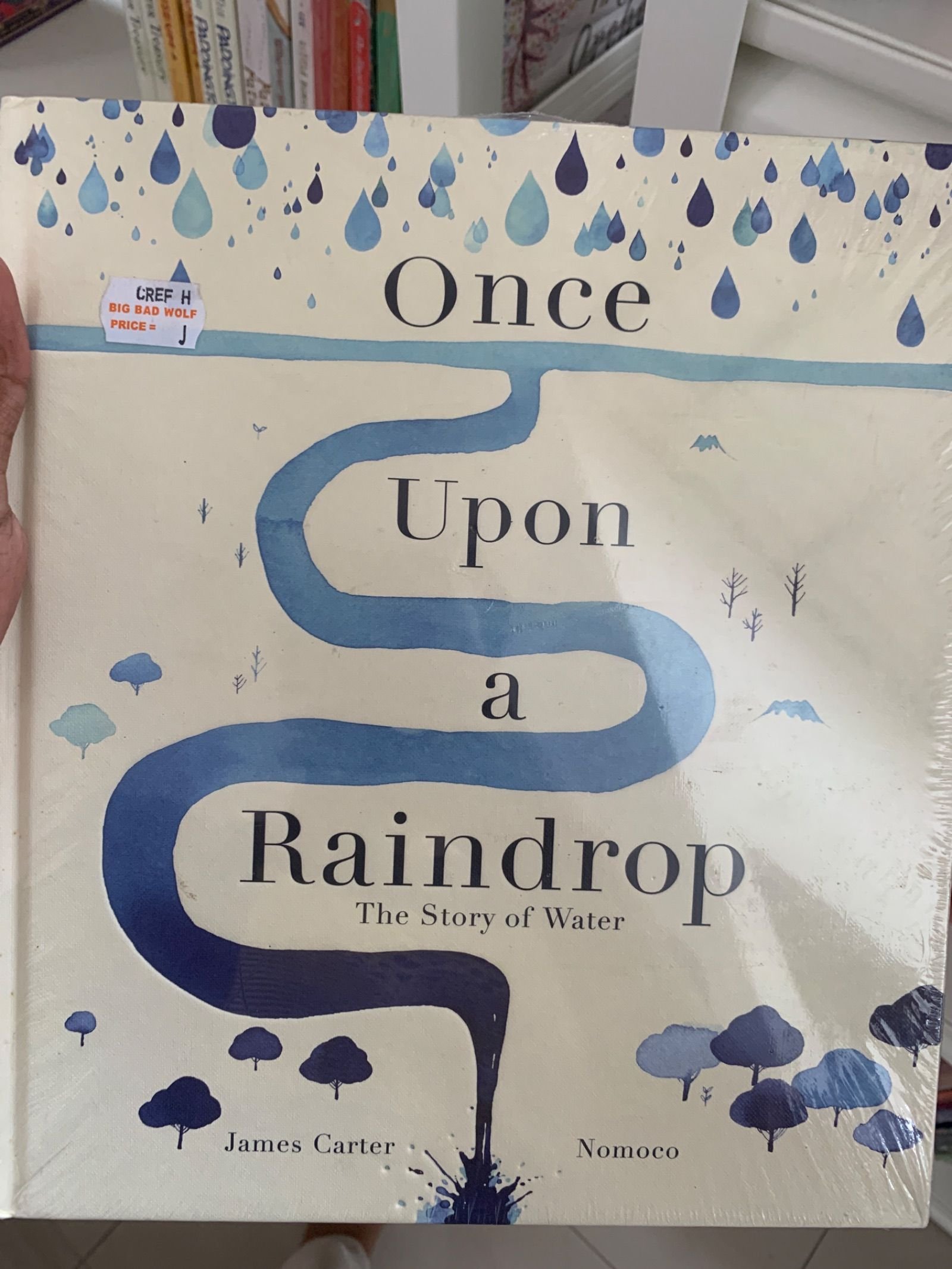 Once Upon a Raindrop