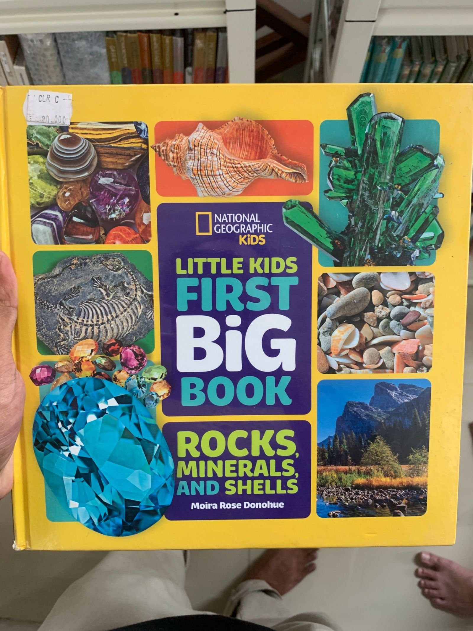 National Geographic Little Kids First Big Book of Rocks, Minerals & Shells