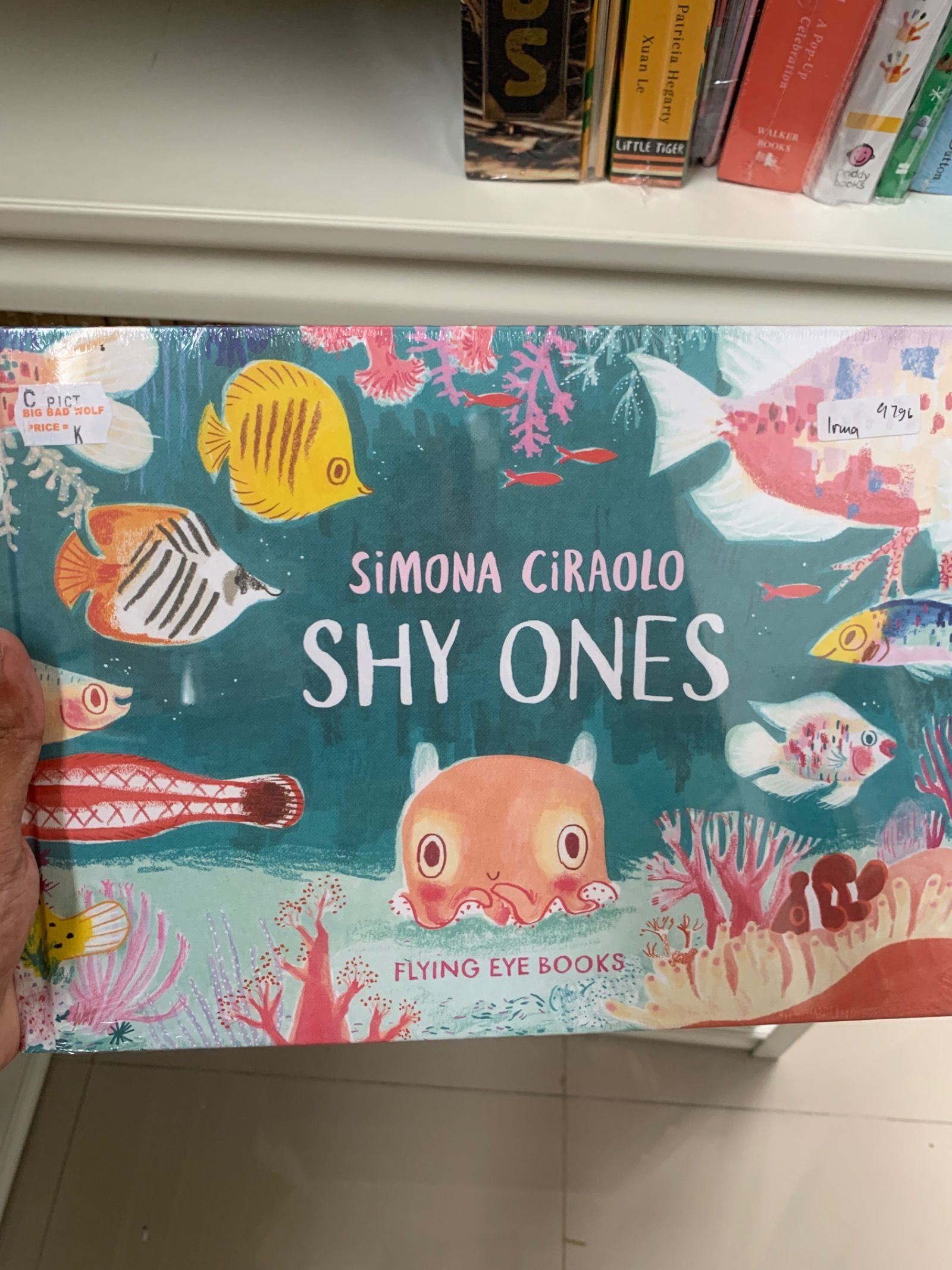 Shy Ones