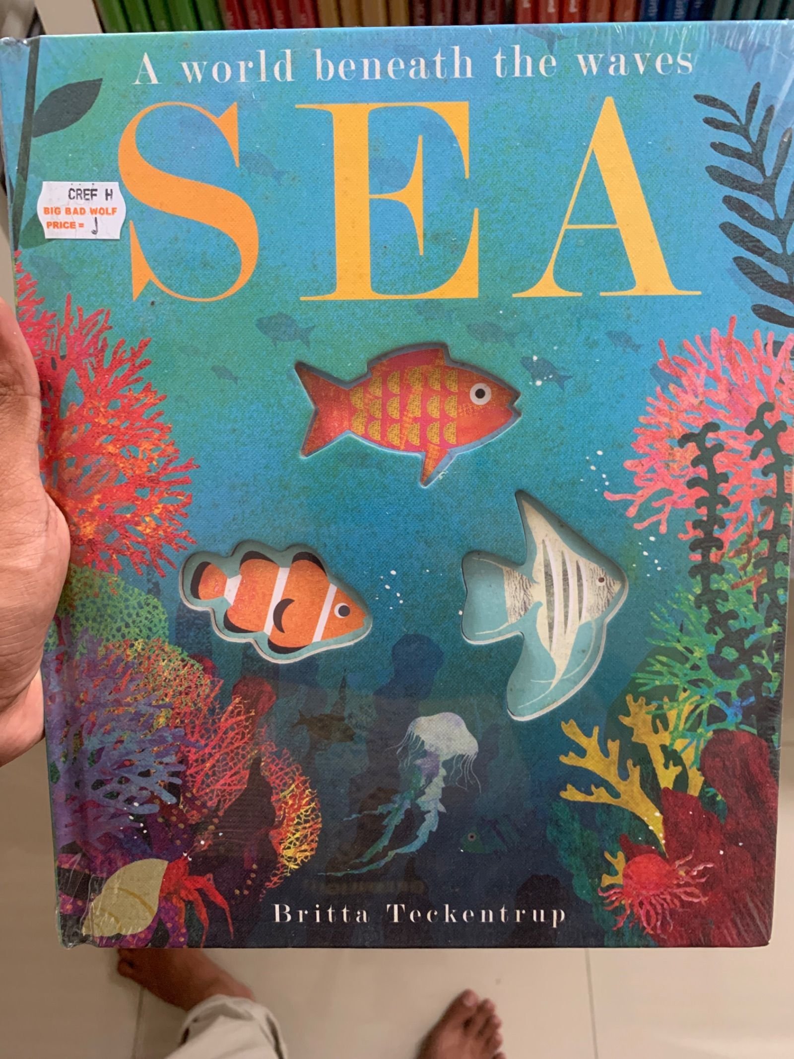 Sea