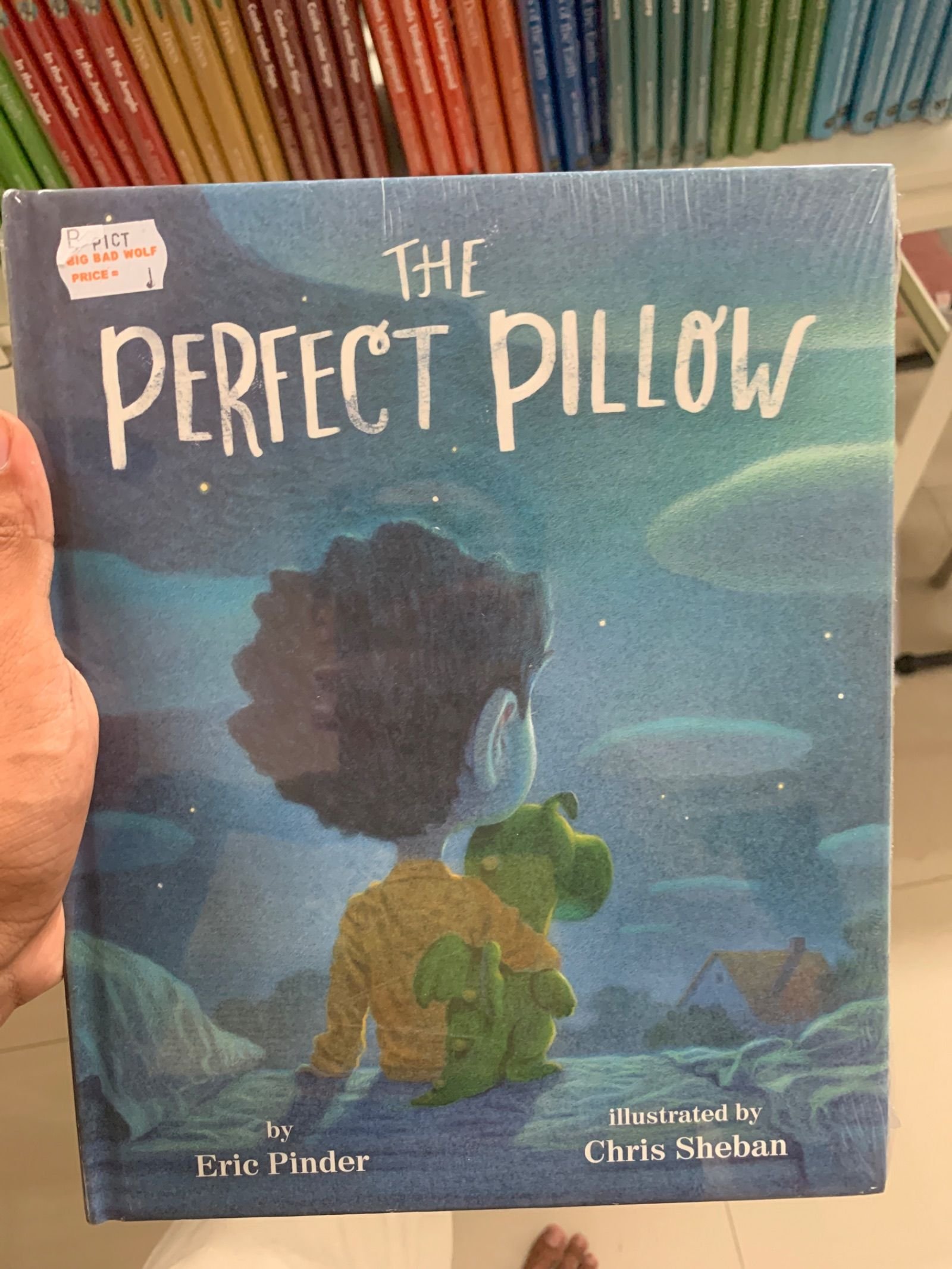 The Perfect Pillow