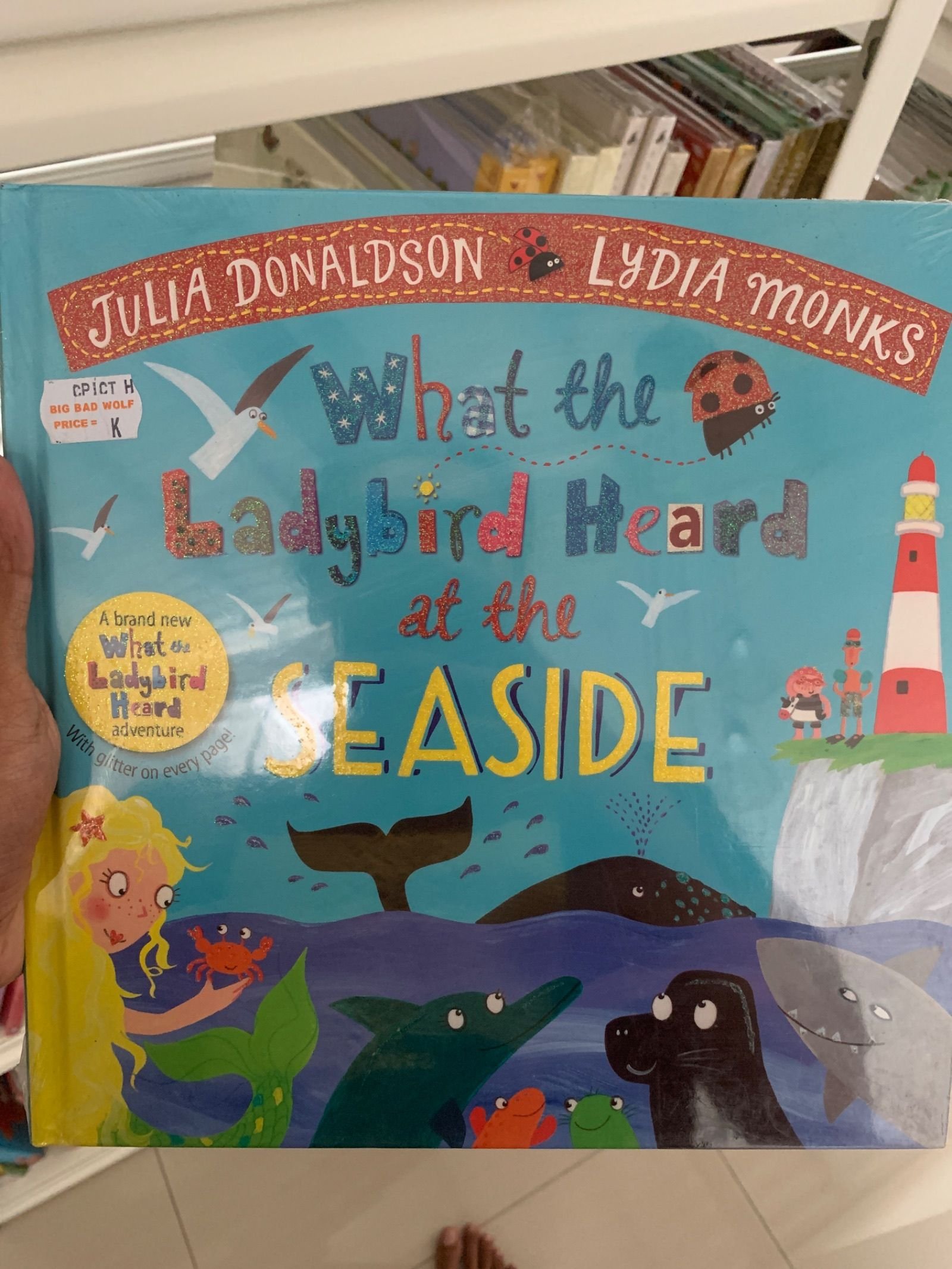 What the Ladybird Heard at the Seaside