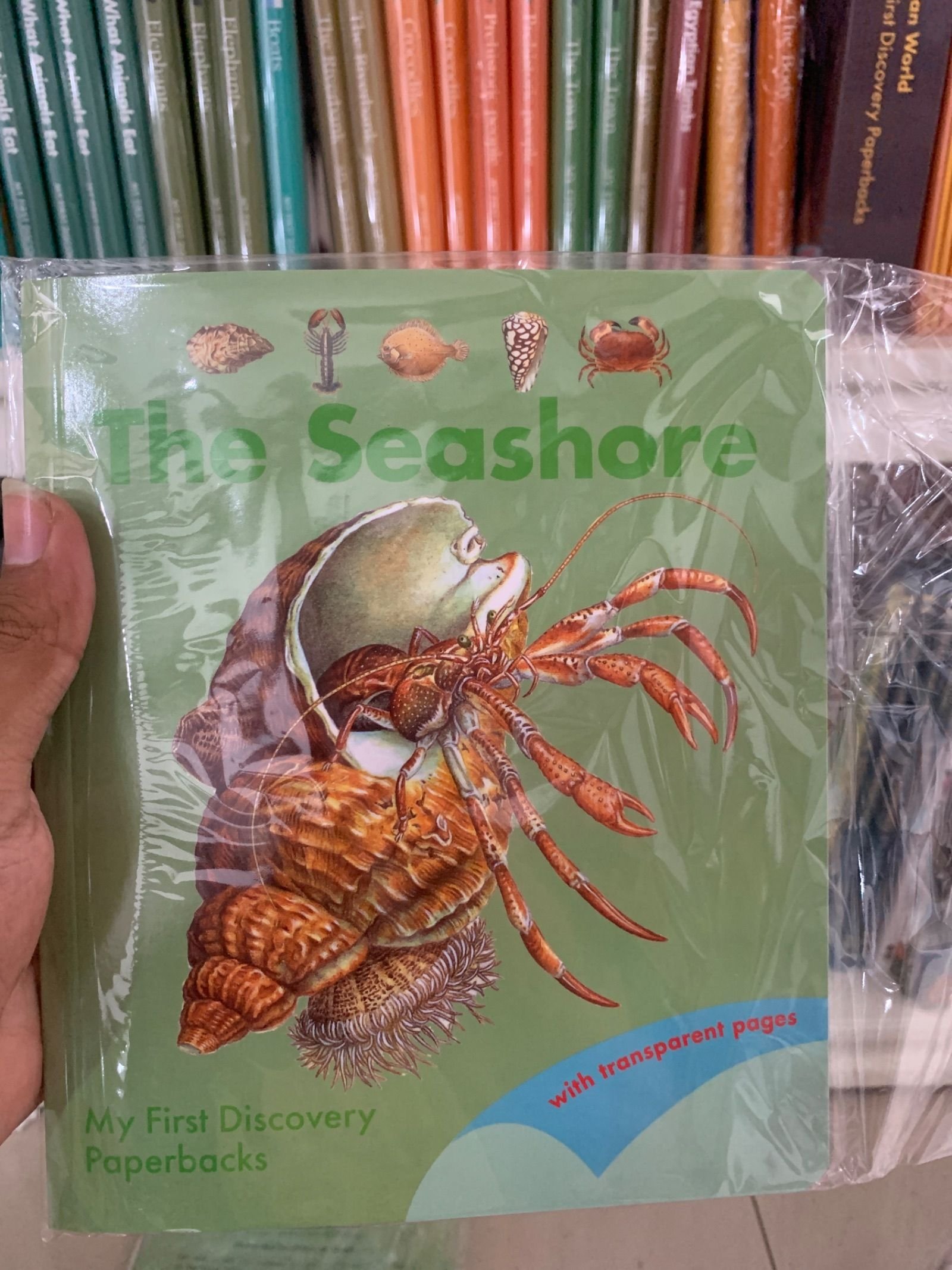 MFD Boxset Seashore