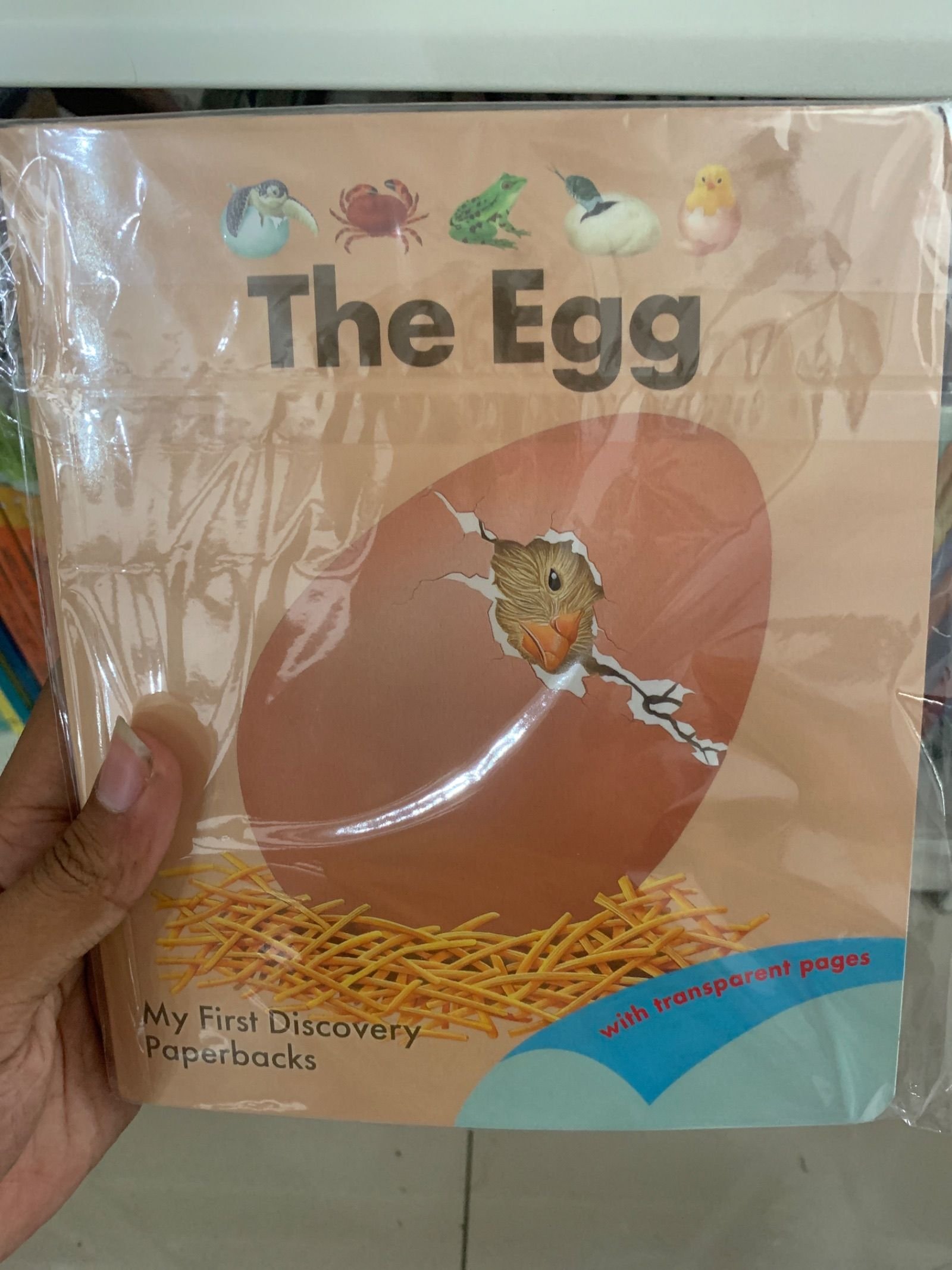 MFD Boxset The Egg