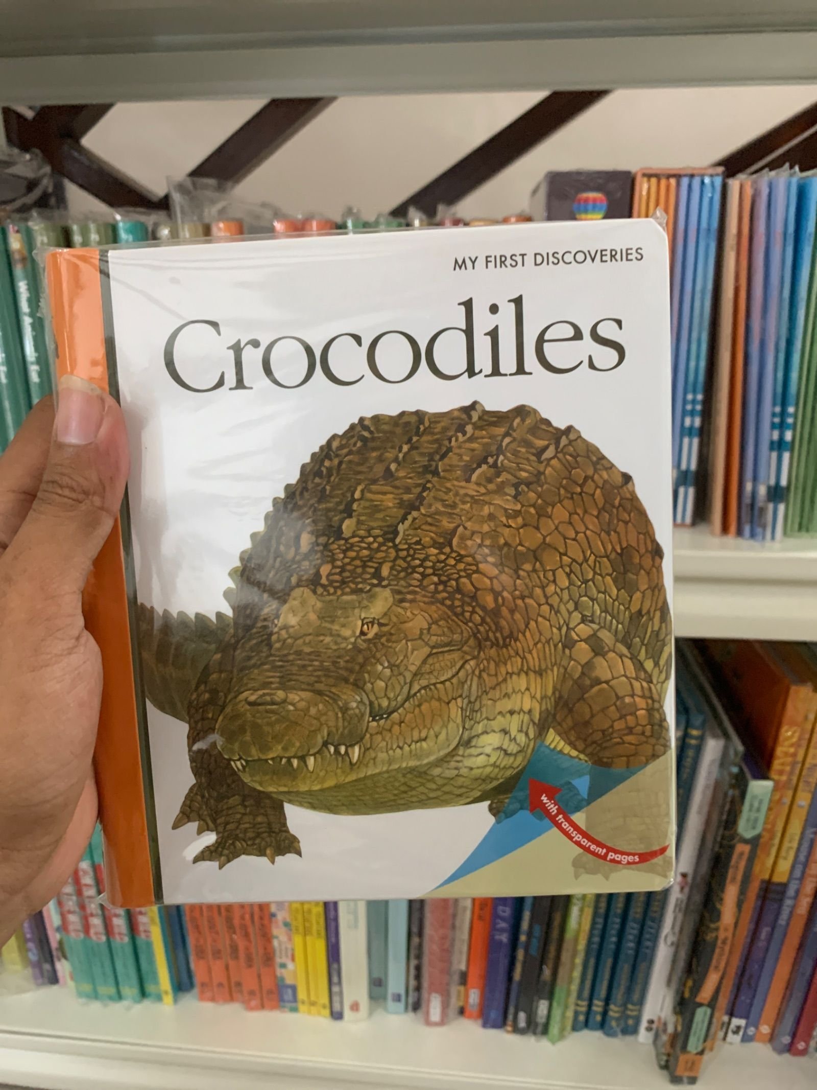 MFD Crocodiles