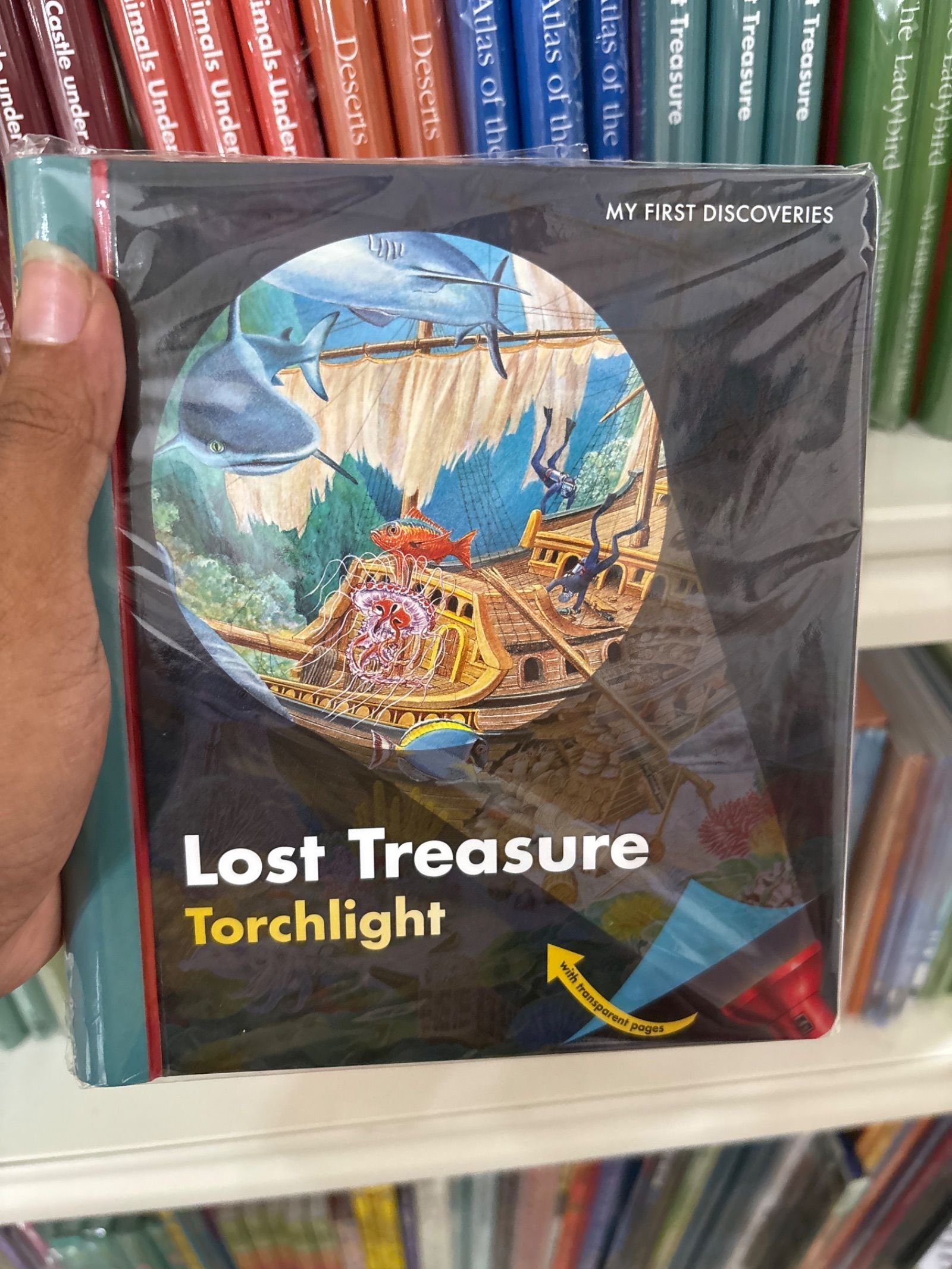 MFD Torch Lost Treasure