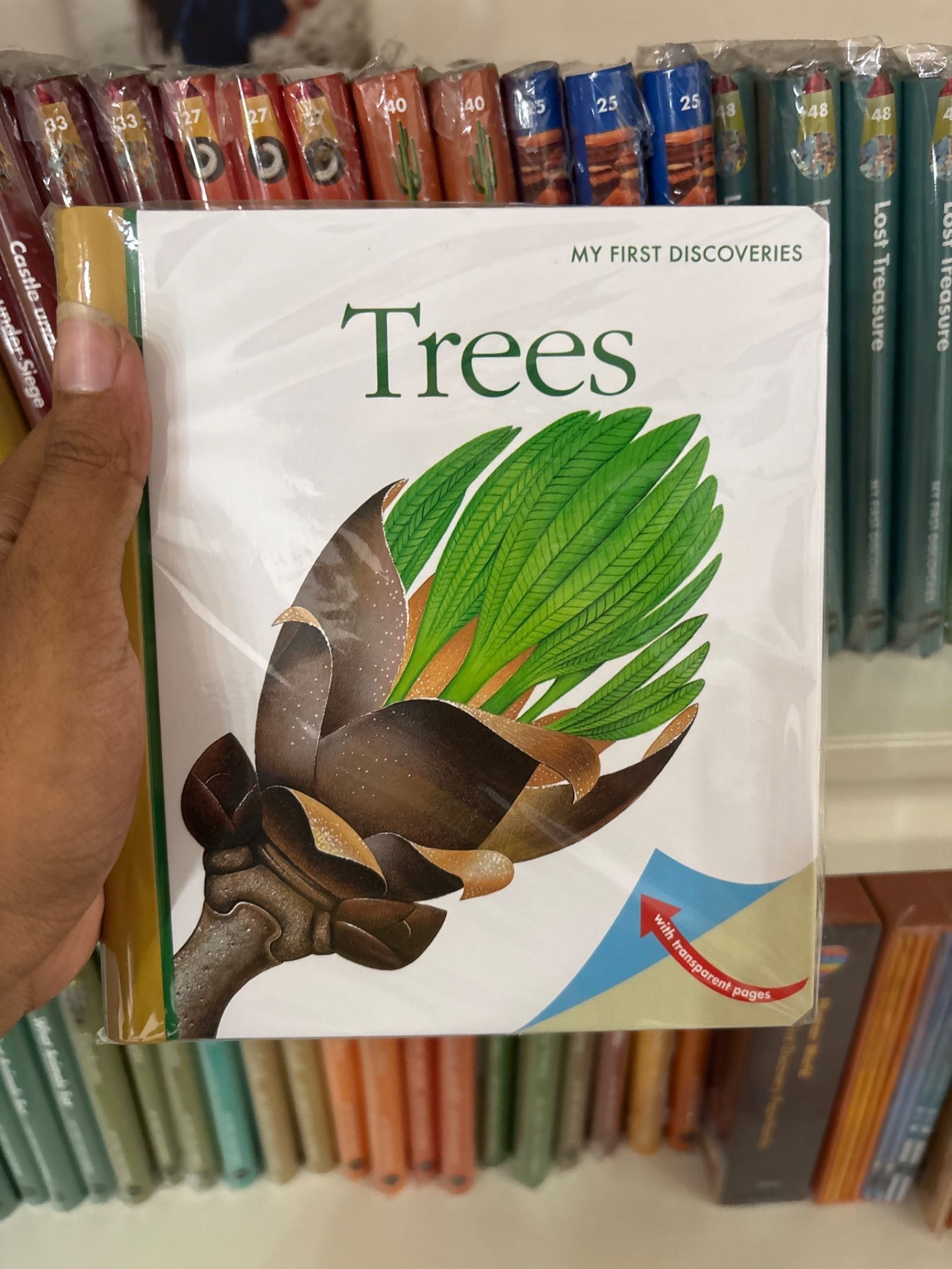 MFD Trees