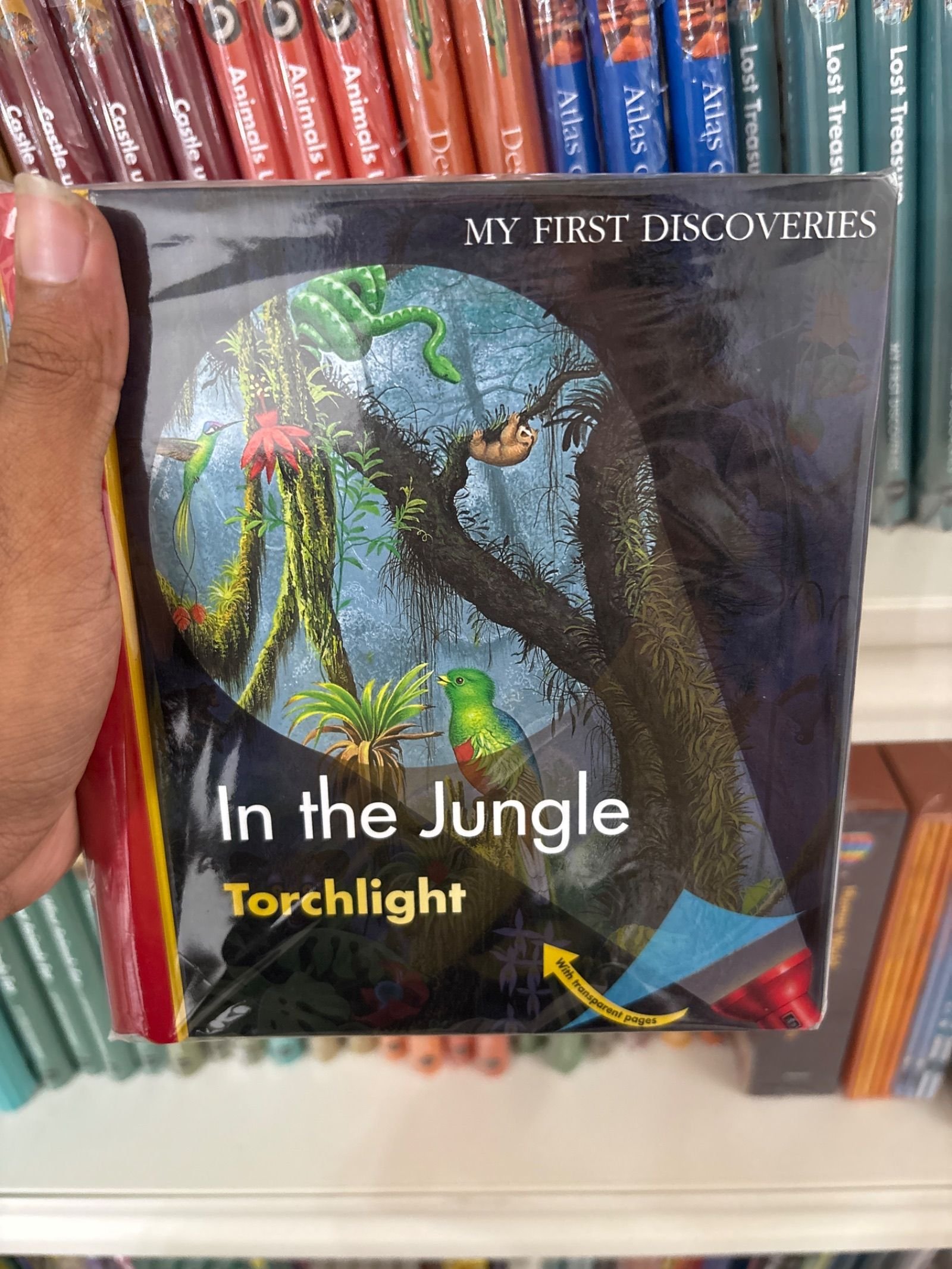 MFD Torch In the Jungle