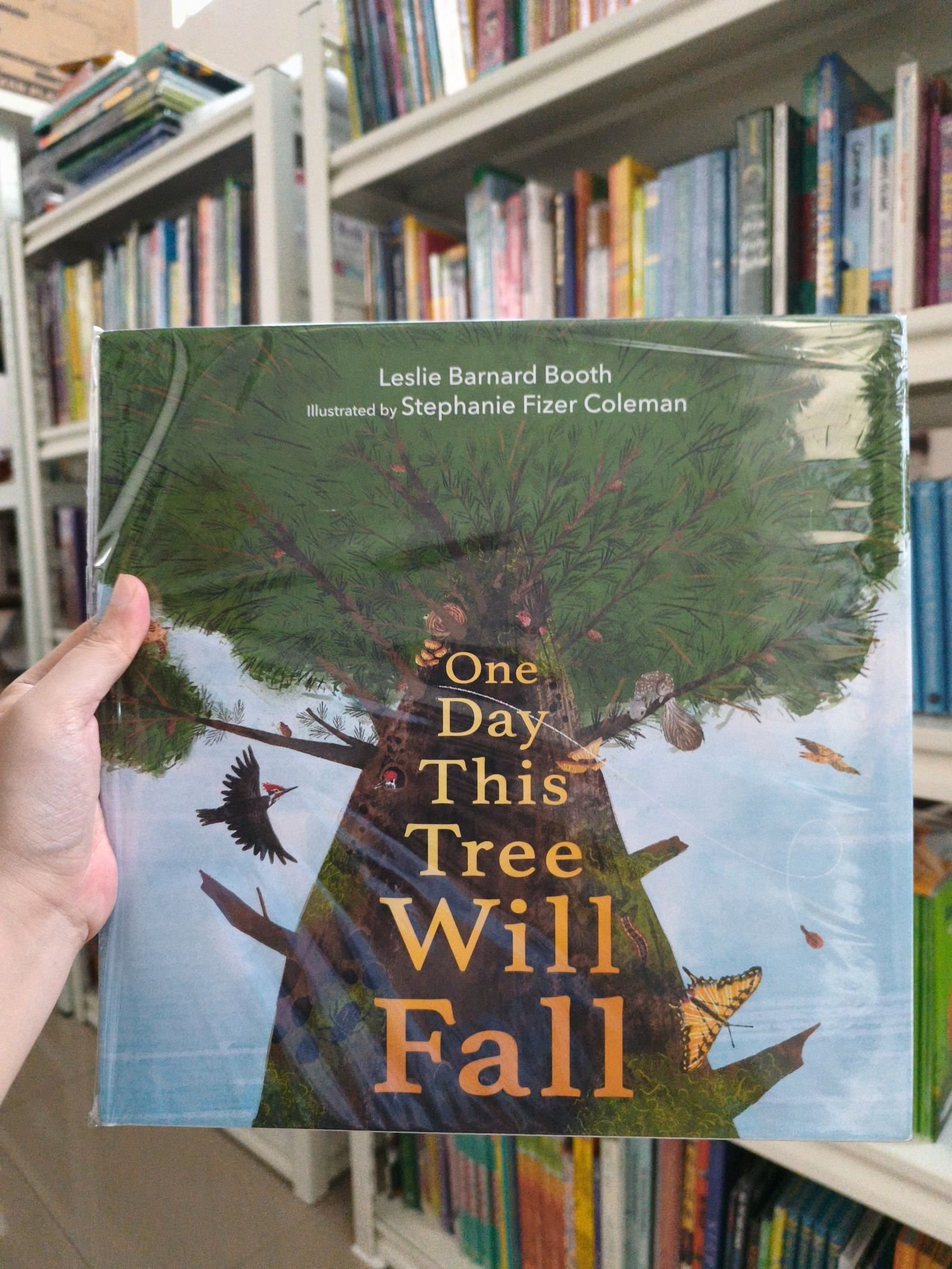 One Day This Tree Will Fall