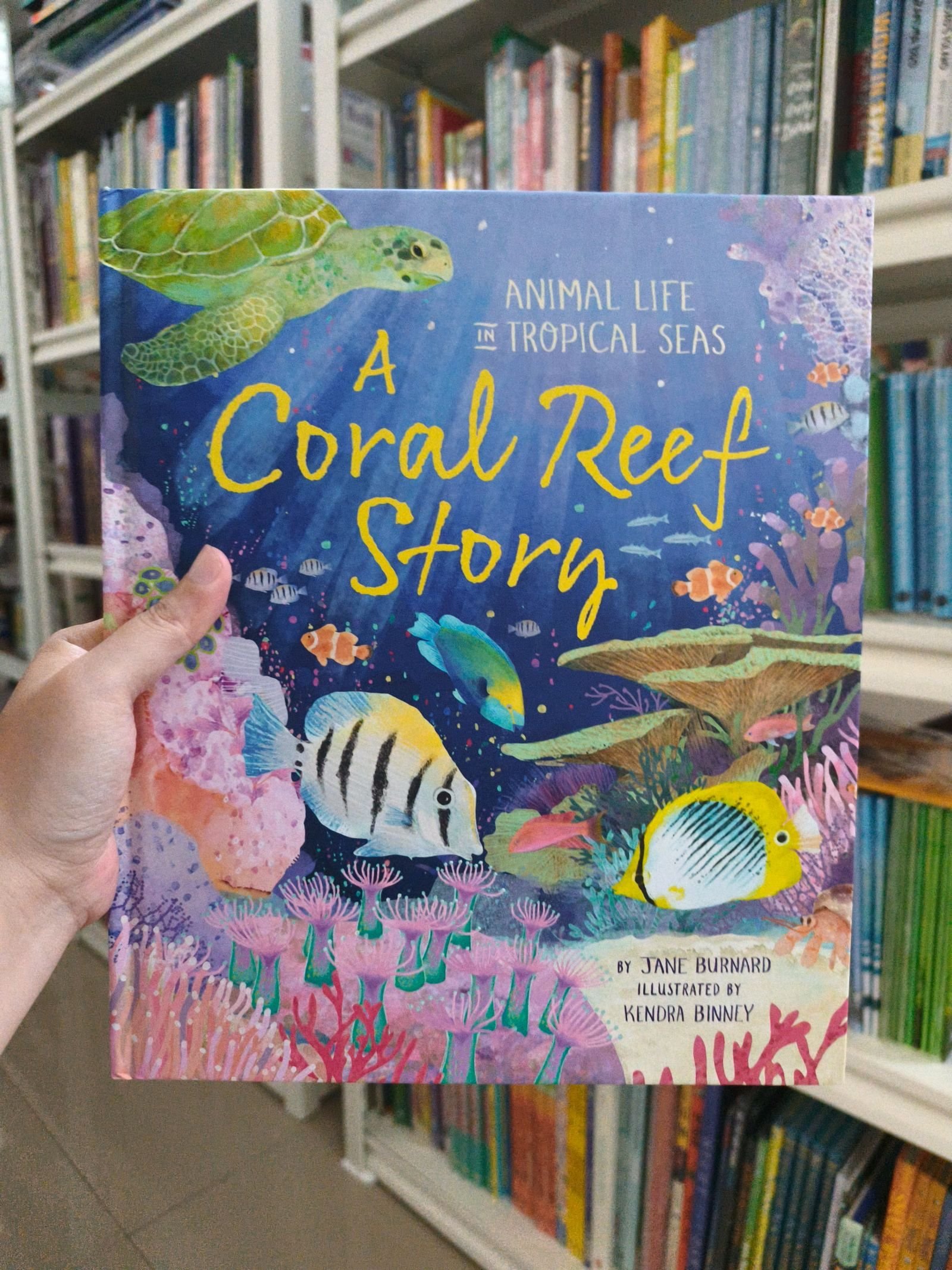 A Coral Reef Story