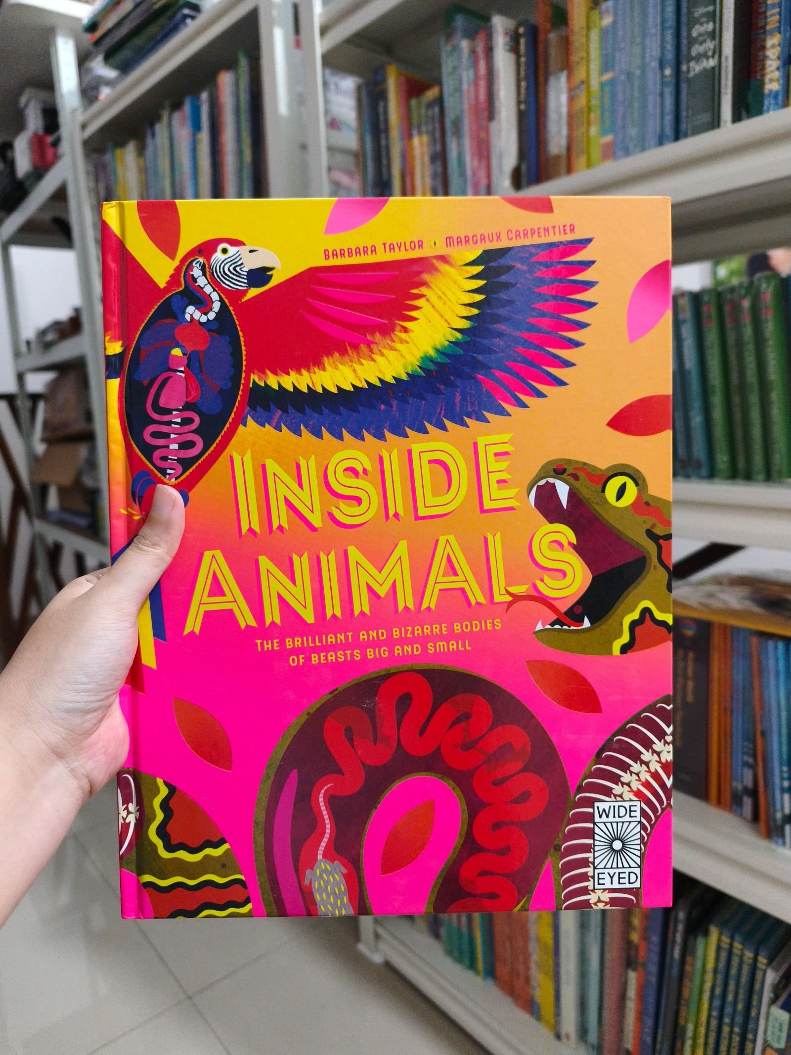 Inside Animals