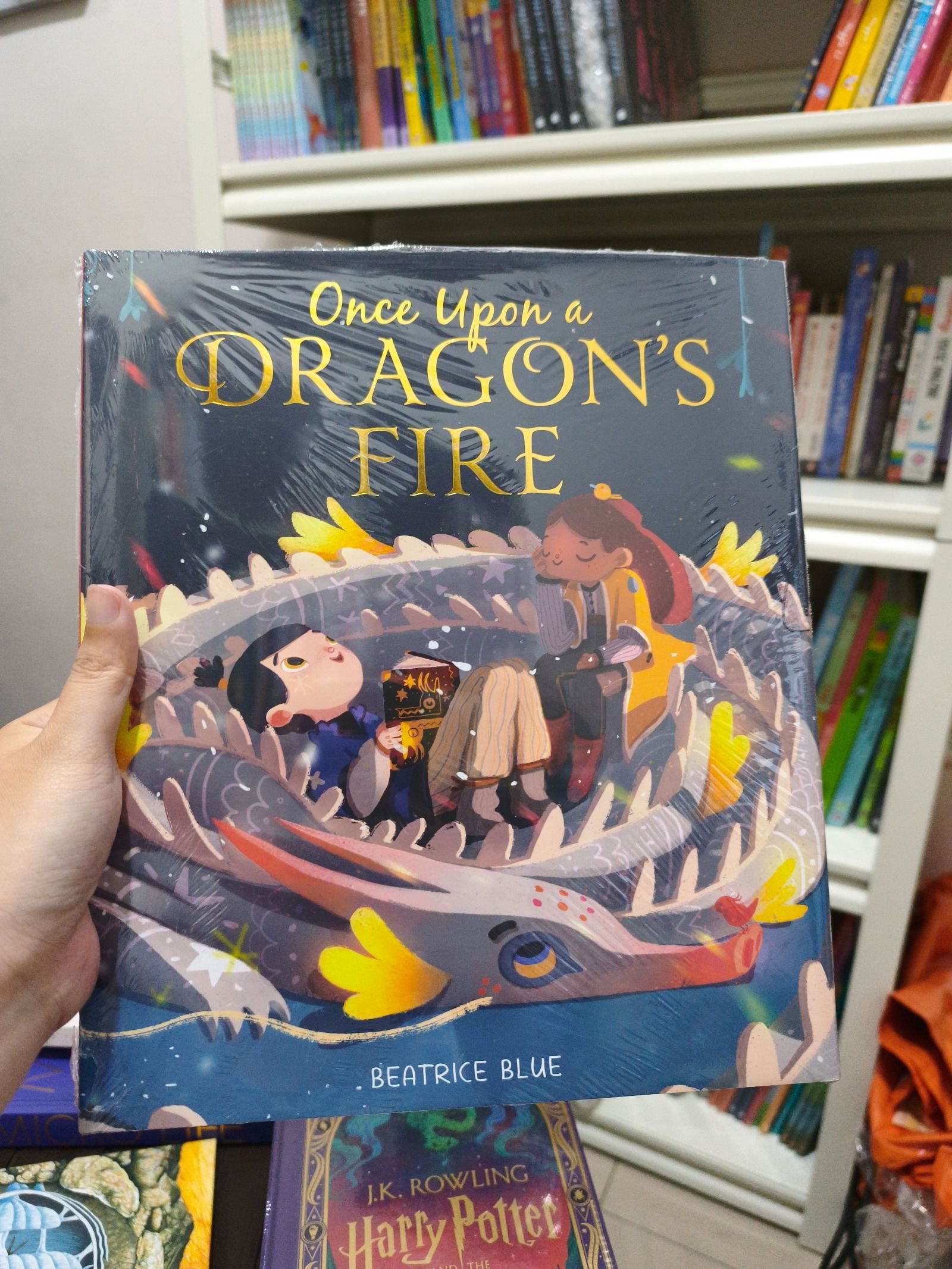 Once Upon a Dragon's Fire