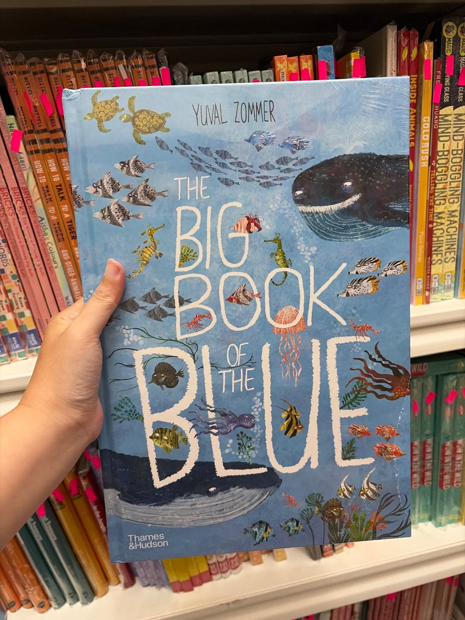 The big book of the blue (defect)
