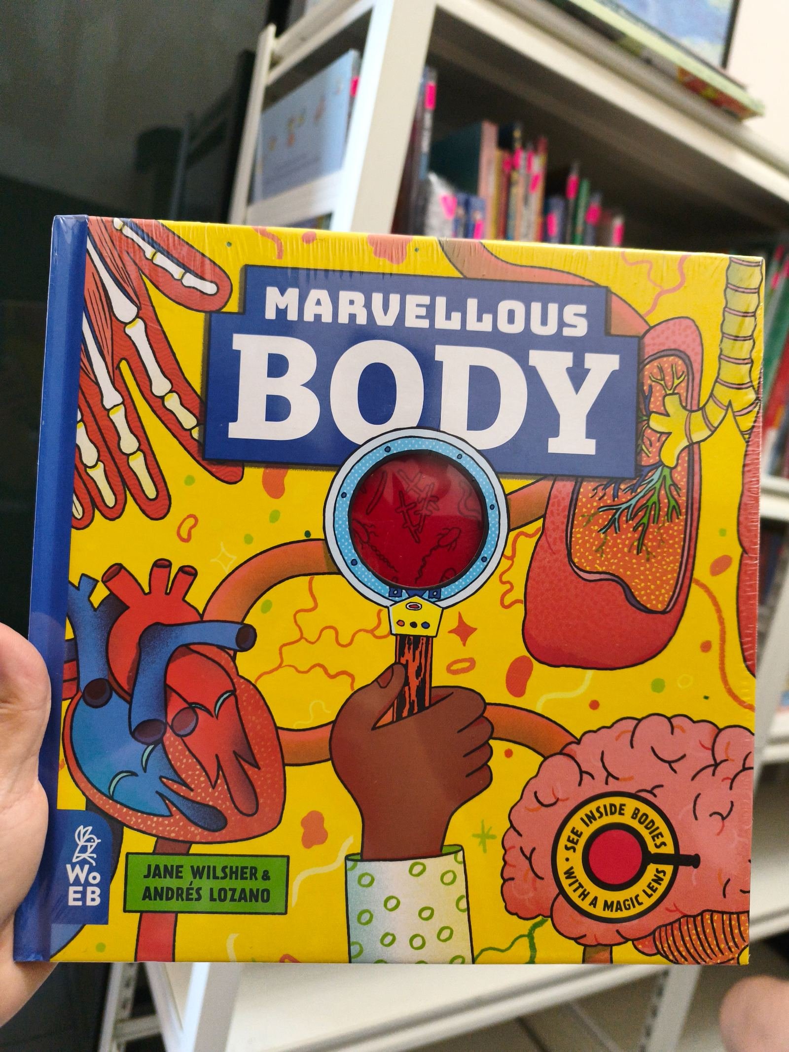 Marvellous Body