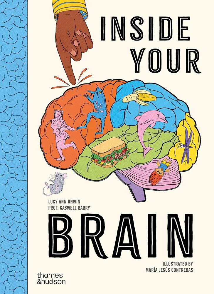Inside Your Brain