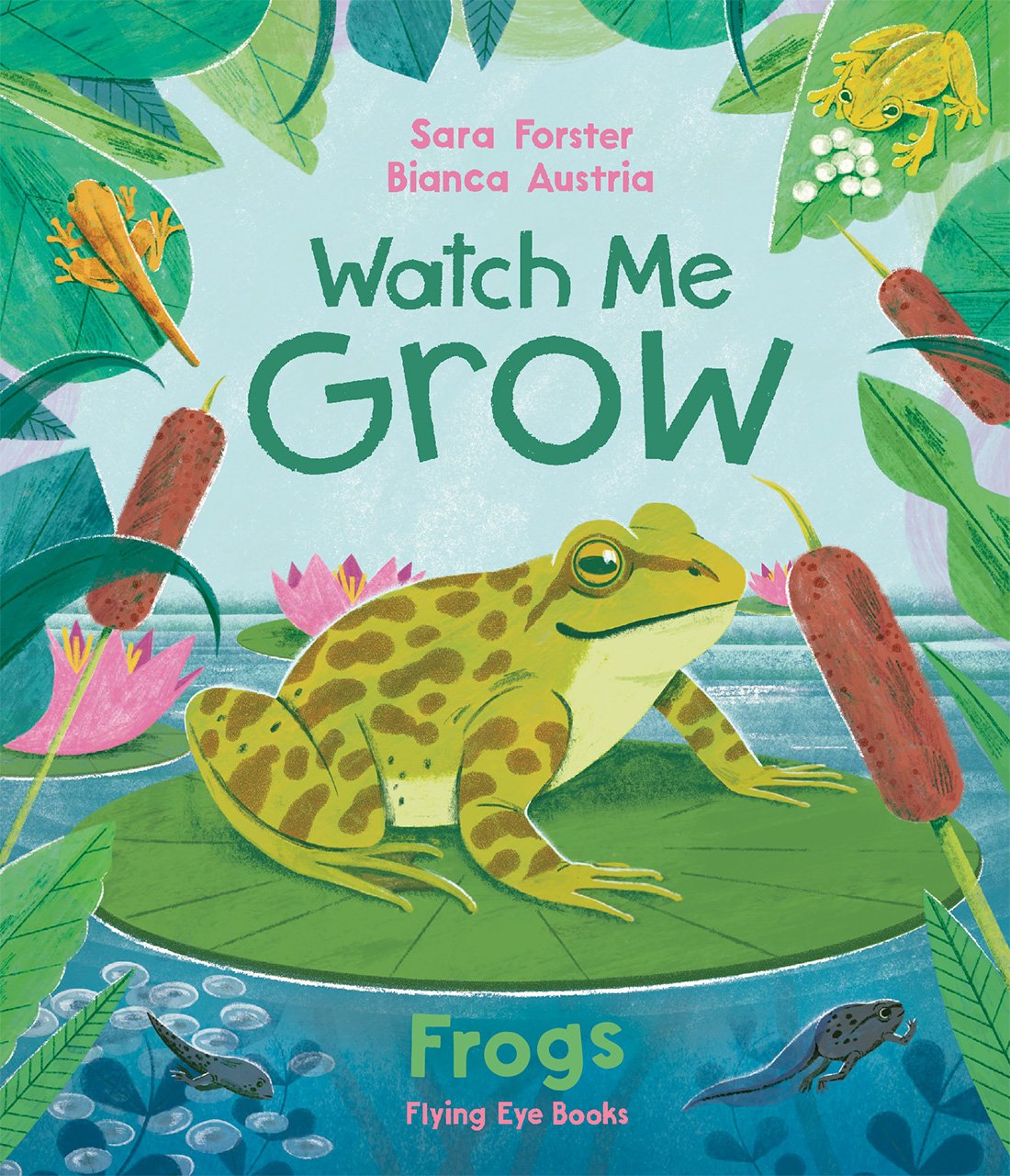Frogs