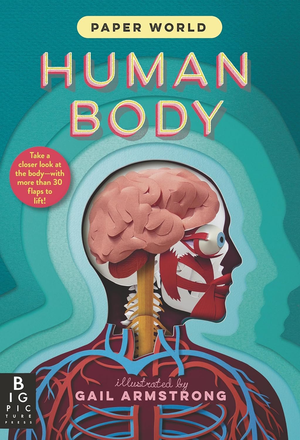 Human Body
