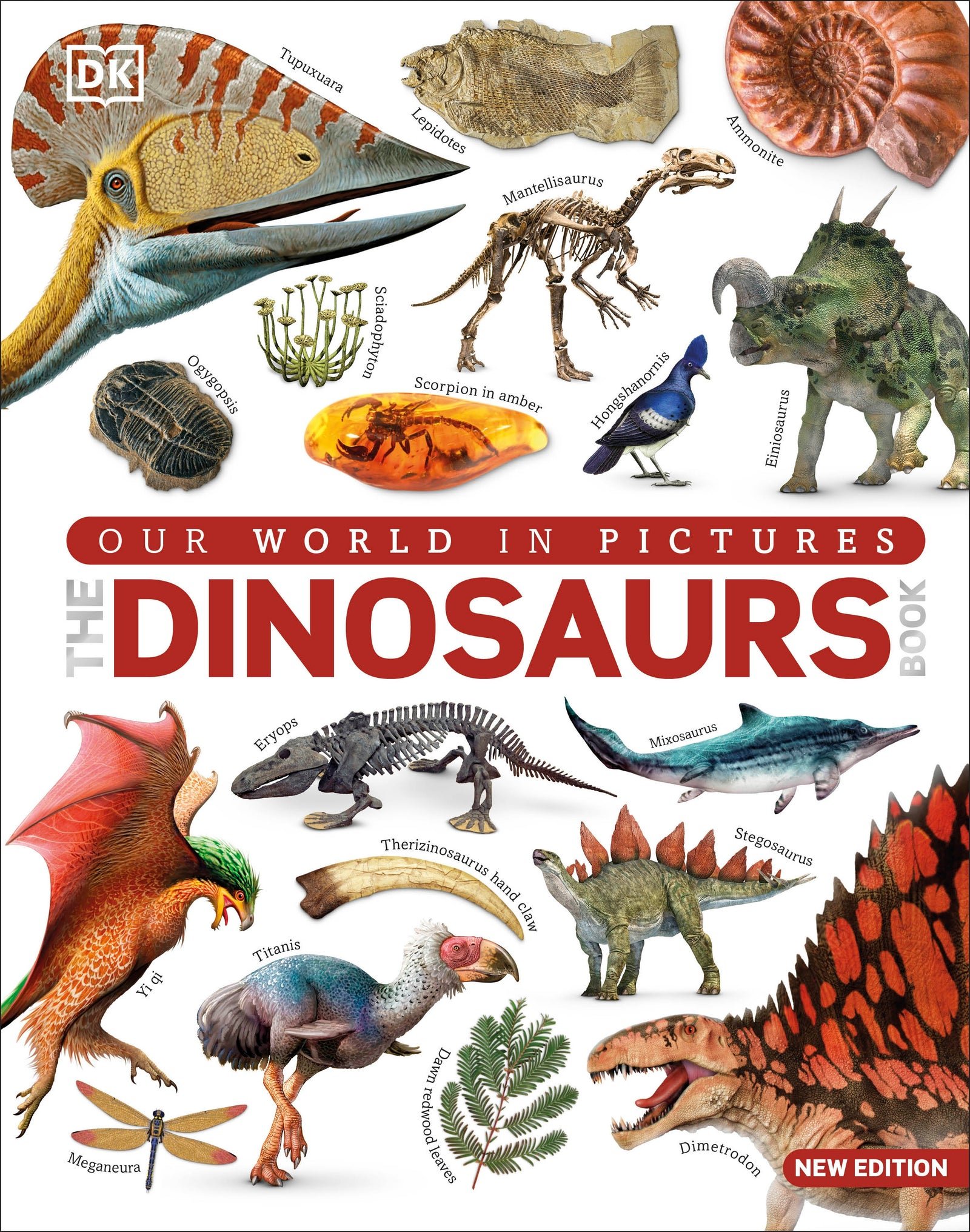 The Dinosaurs Book