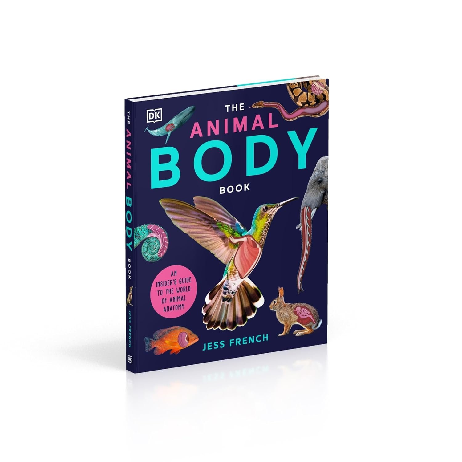 The Animal Body Book