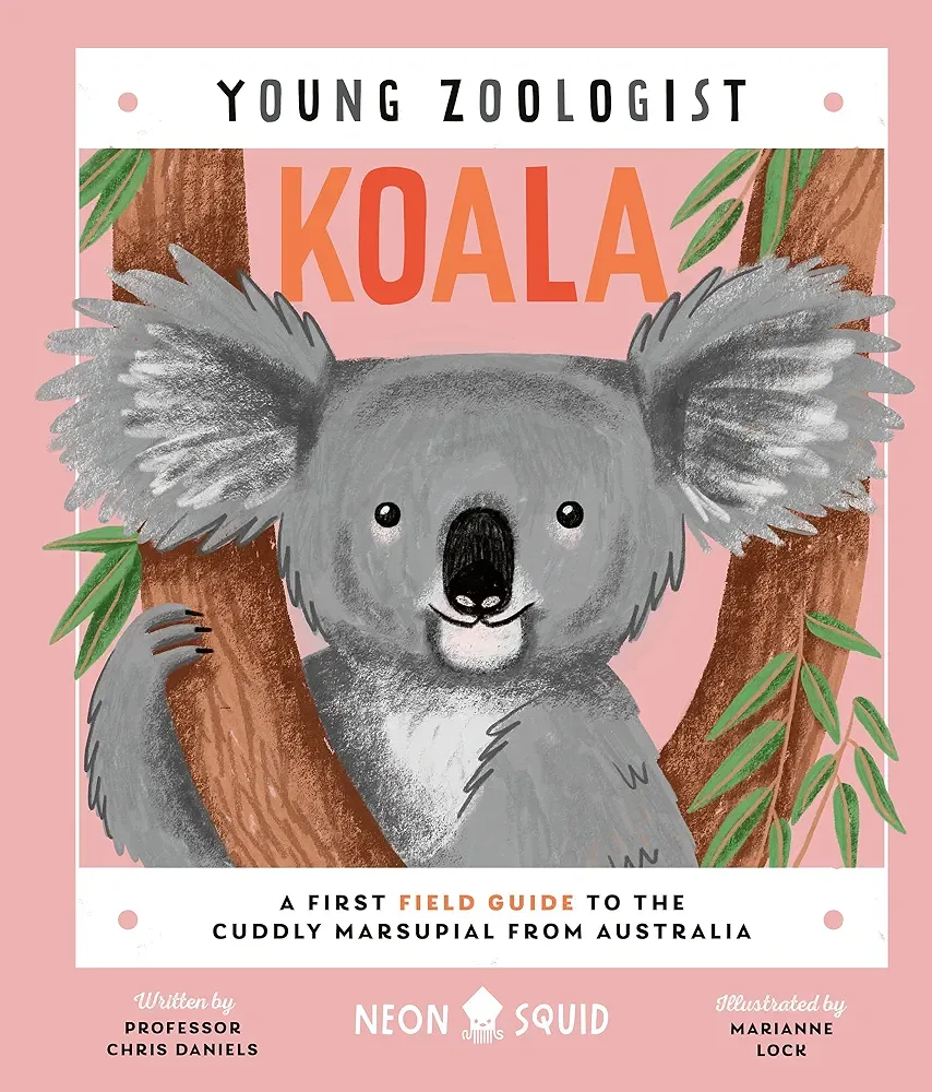 Koala (Young Zoologist)