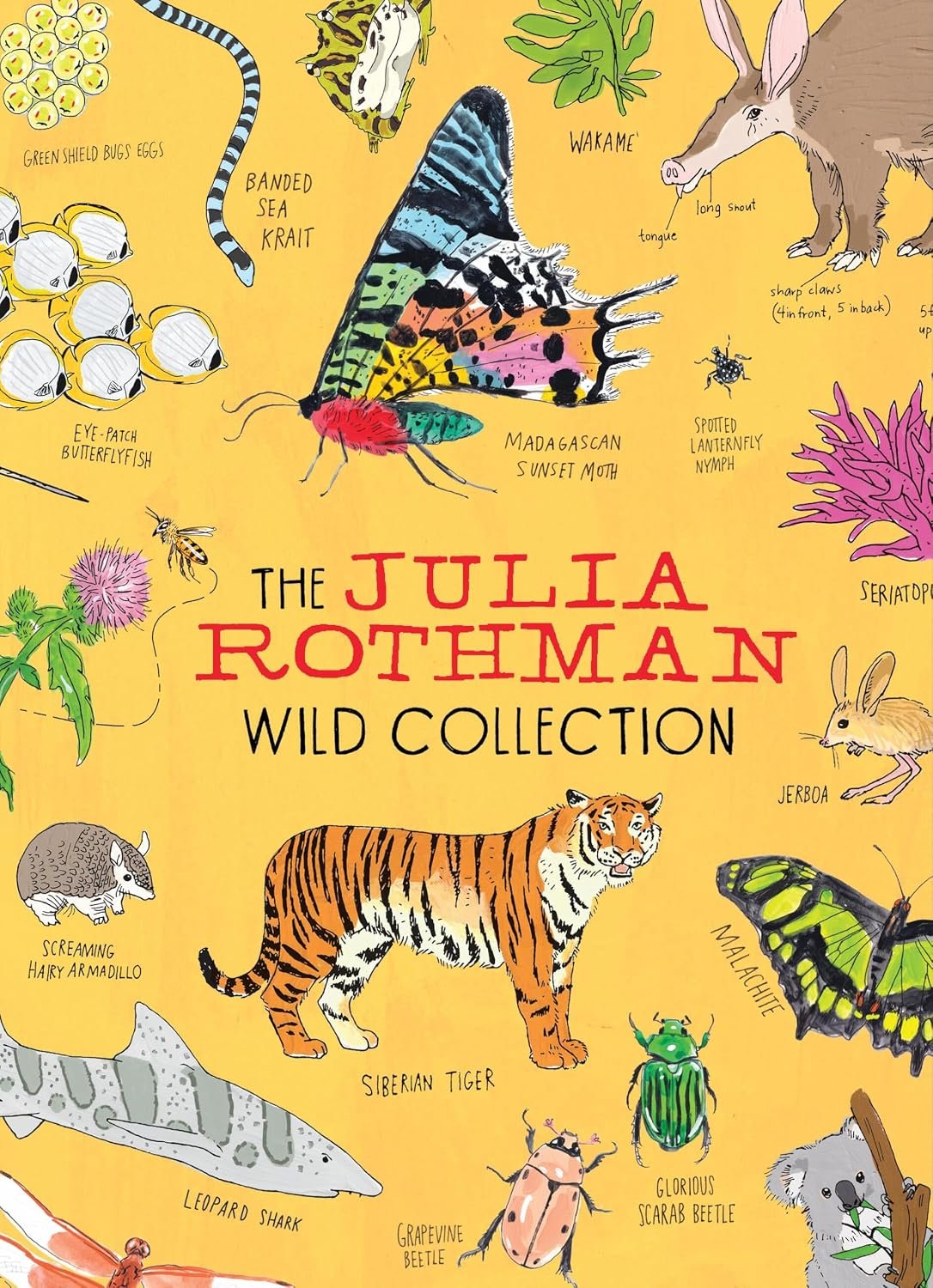 The Julia Rothman Wild Collection
