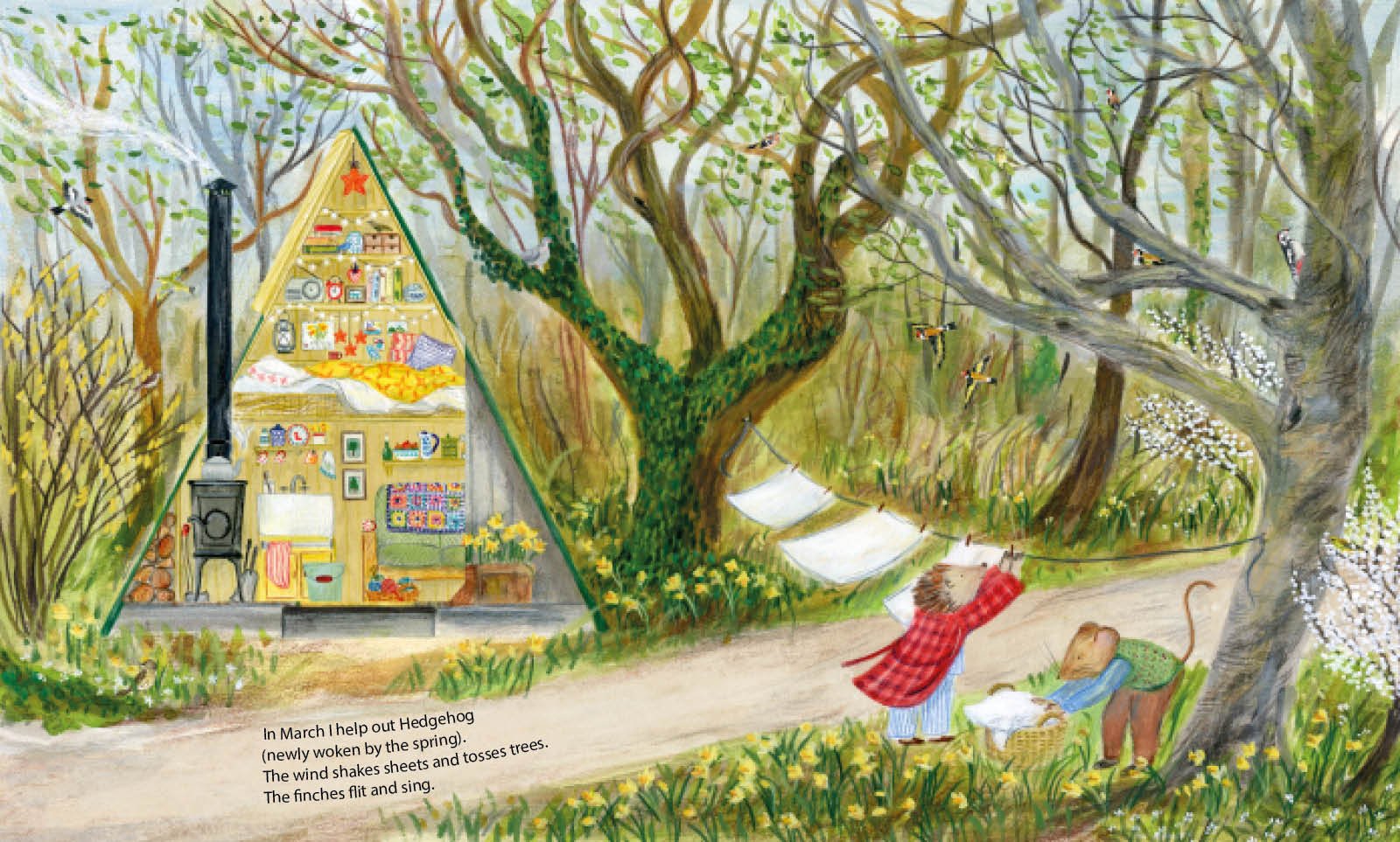 Mouse's Wood: A Year in Nature preview