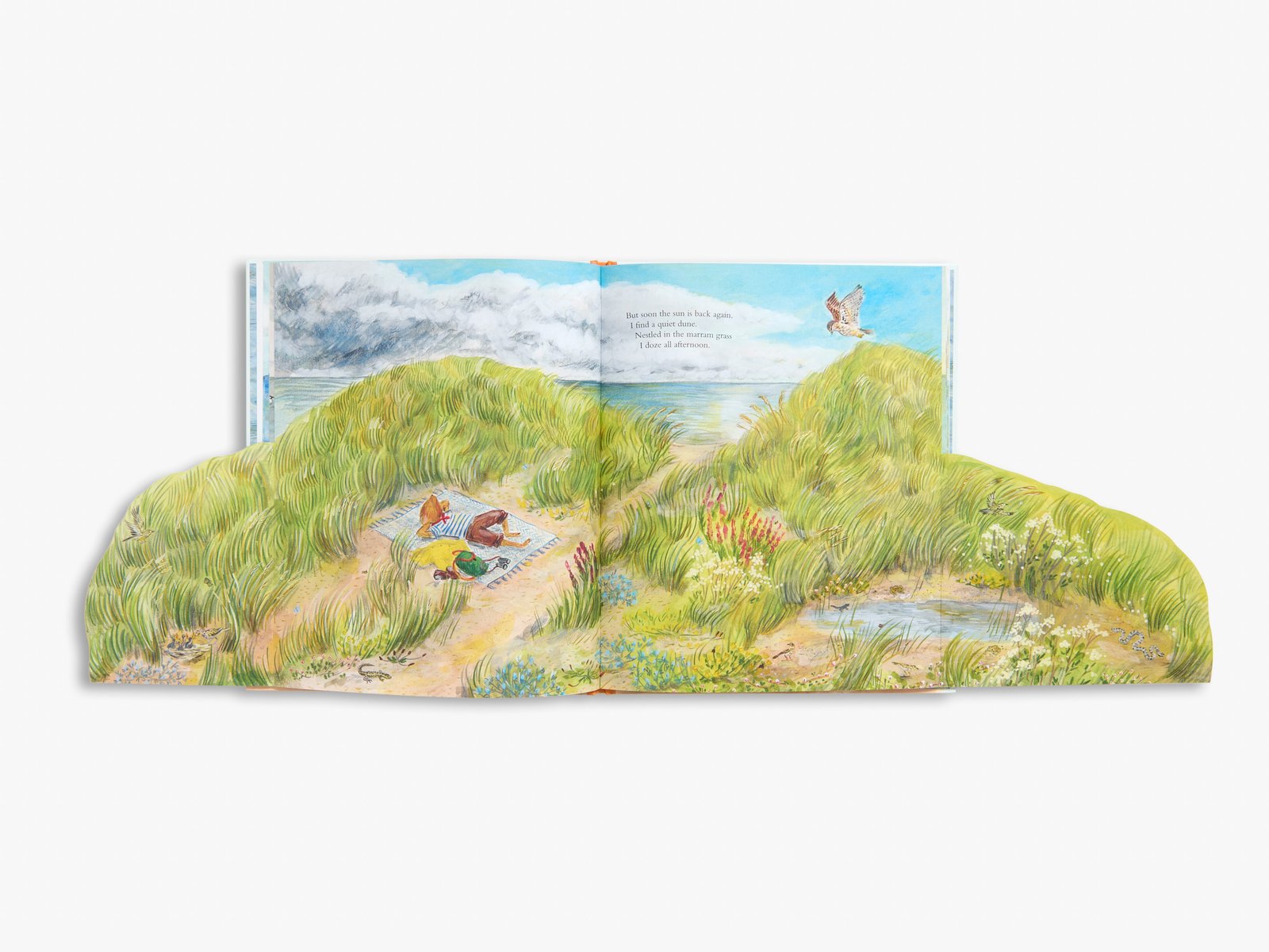Mouse by the Sea: A Holiday in Nature preview