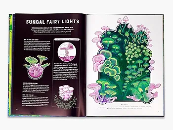 Glow: The Wild Wonders of Bioluminescence preview