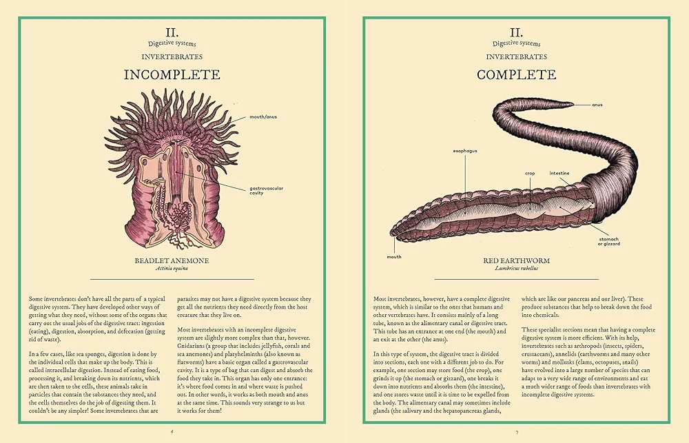 Eatopedia: An Encyclopedia of How Animals Eat, Digest and Poo preview