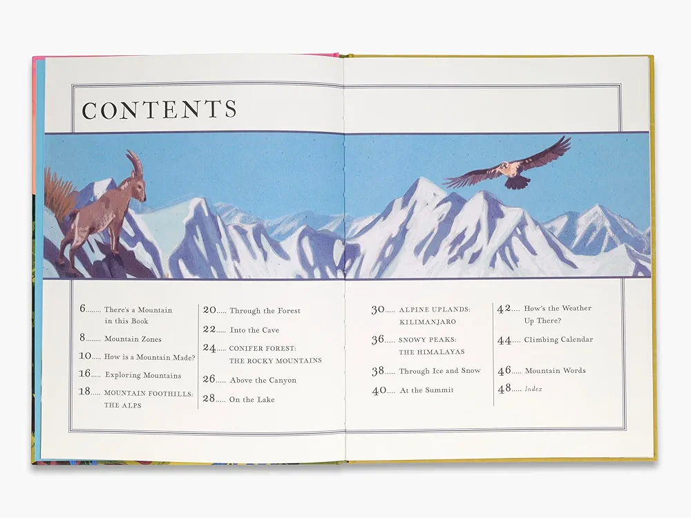 There's a Mountain in This Book preview