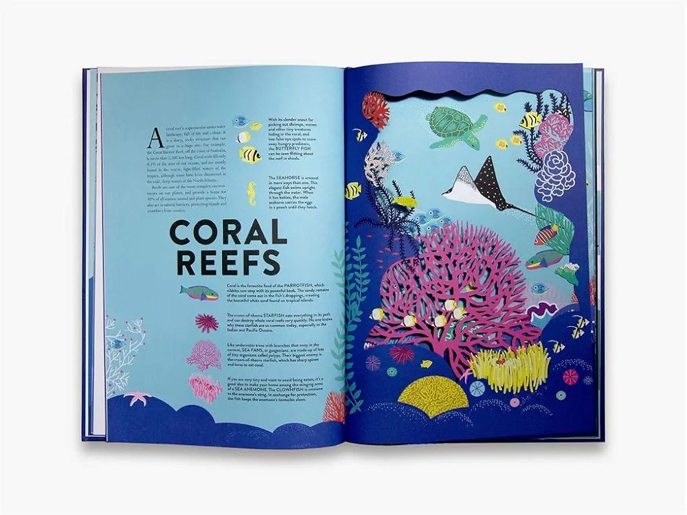 Ocean preview