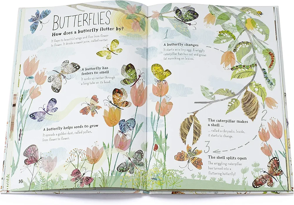 The Big Book of Bugs preview
