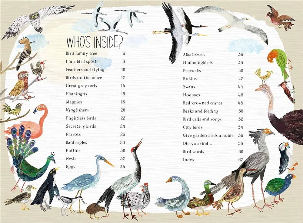 The Big Book of Birds preview